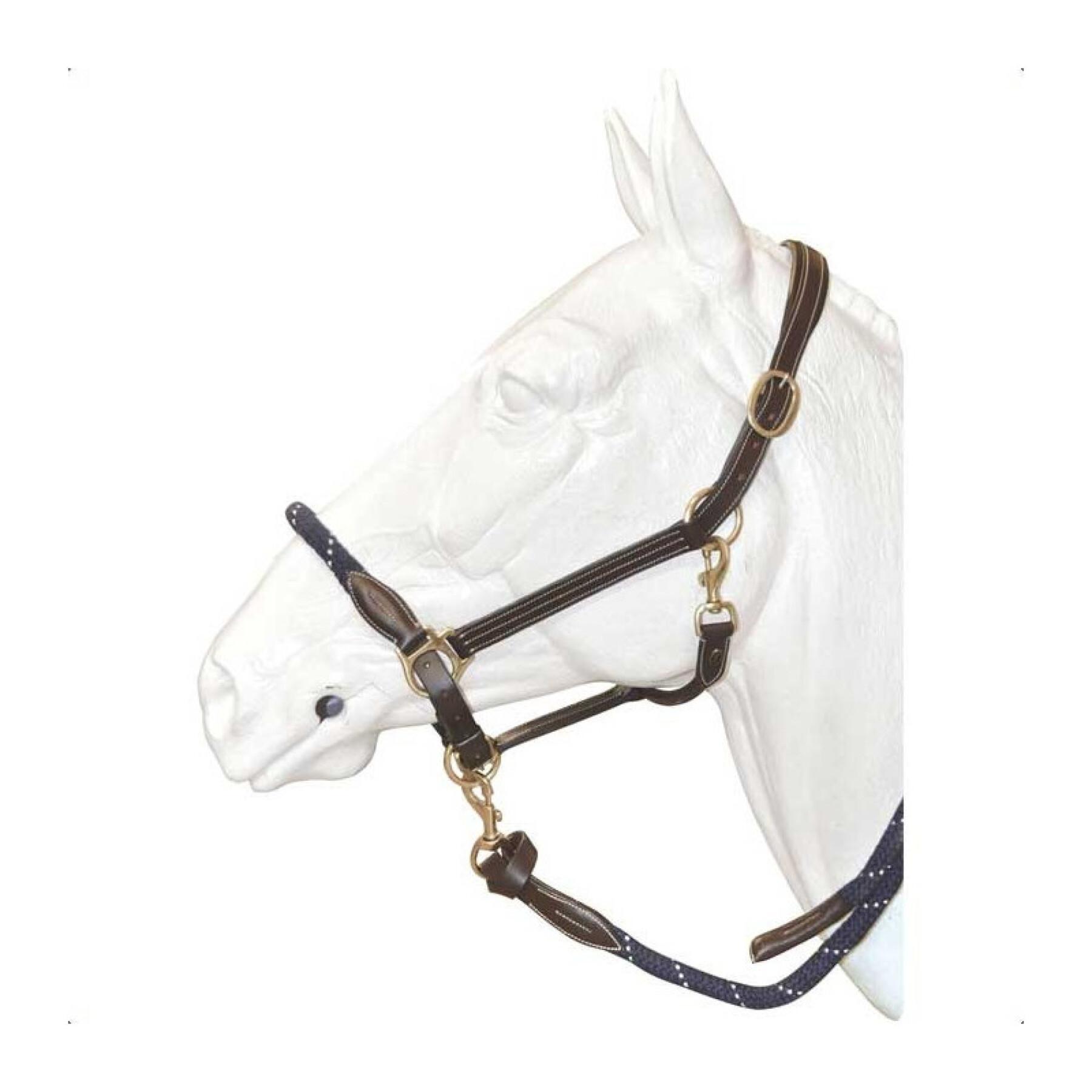 Leather halter for horse with reins Canter