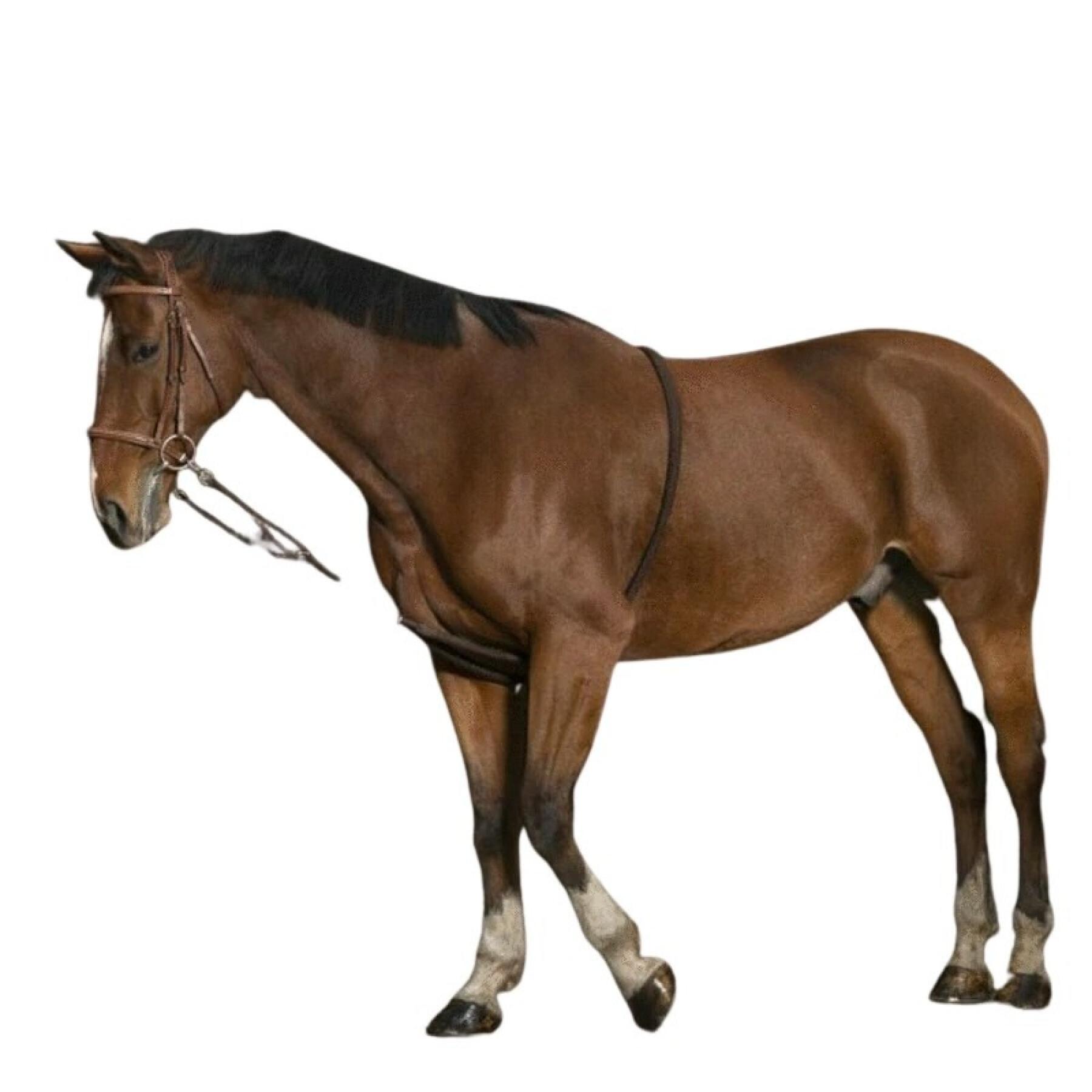 Soft extender horse tack Norton