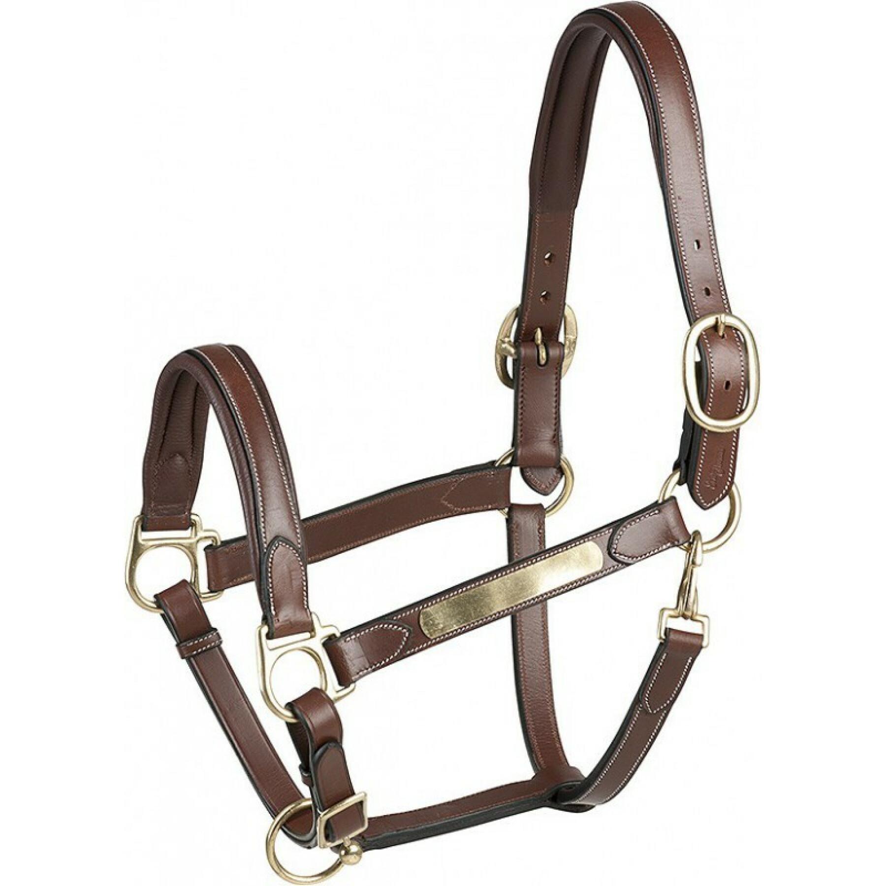 Leather halter for horse ERIC THOMAS “Pro”