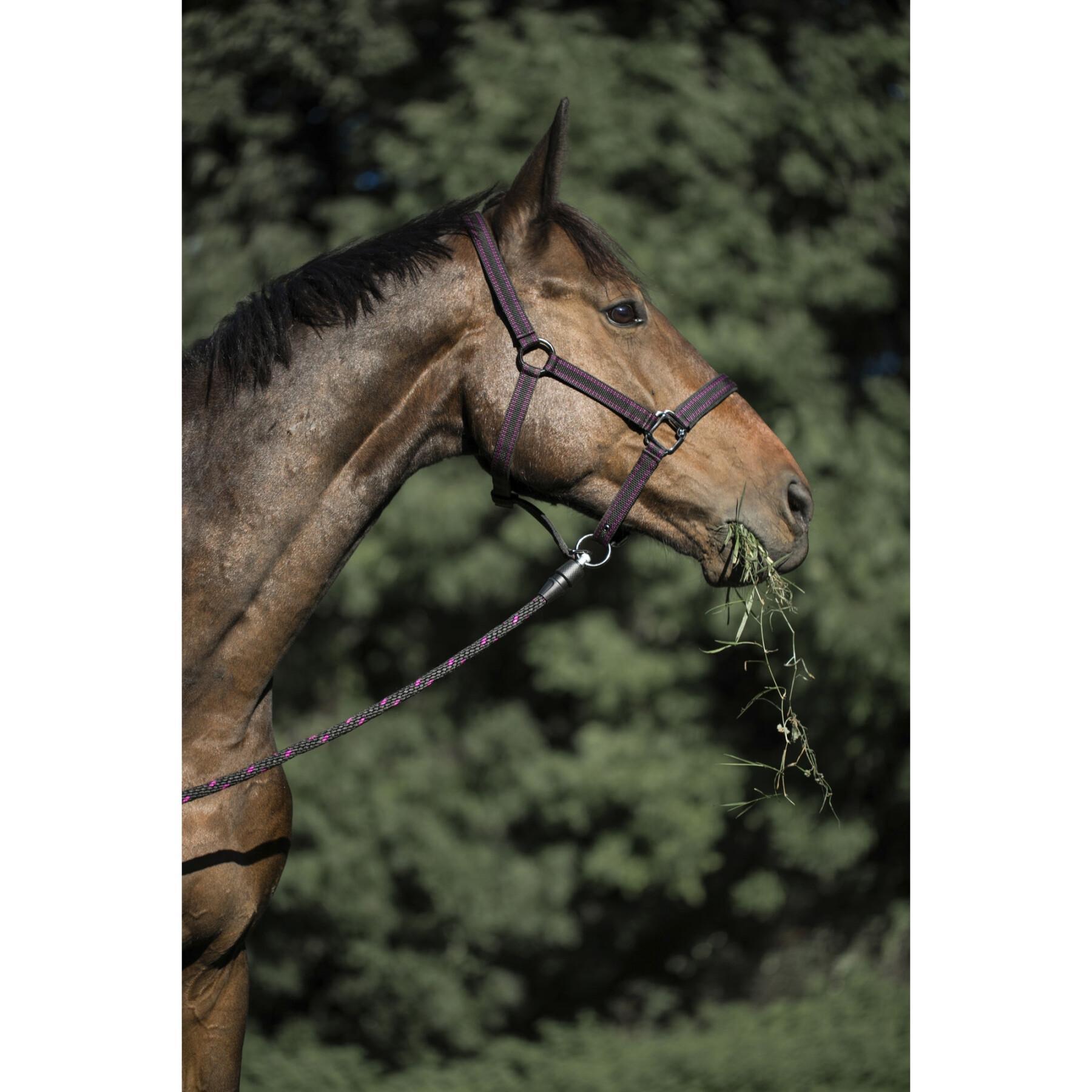 Horse lanyard with pin Kerbl goleygo