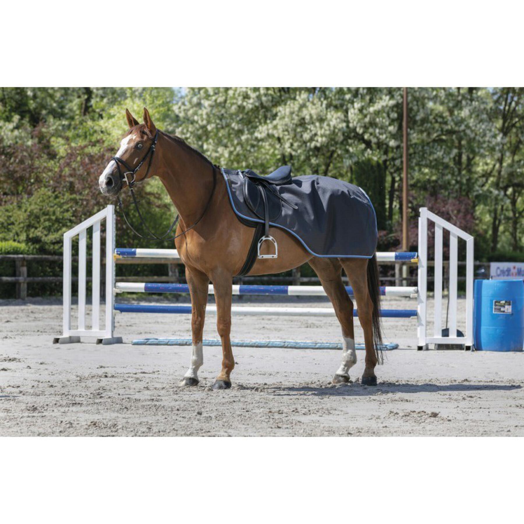 Waterproof horse rugs Equithème TYREX 1200 D 8000/8000