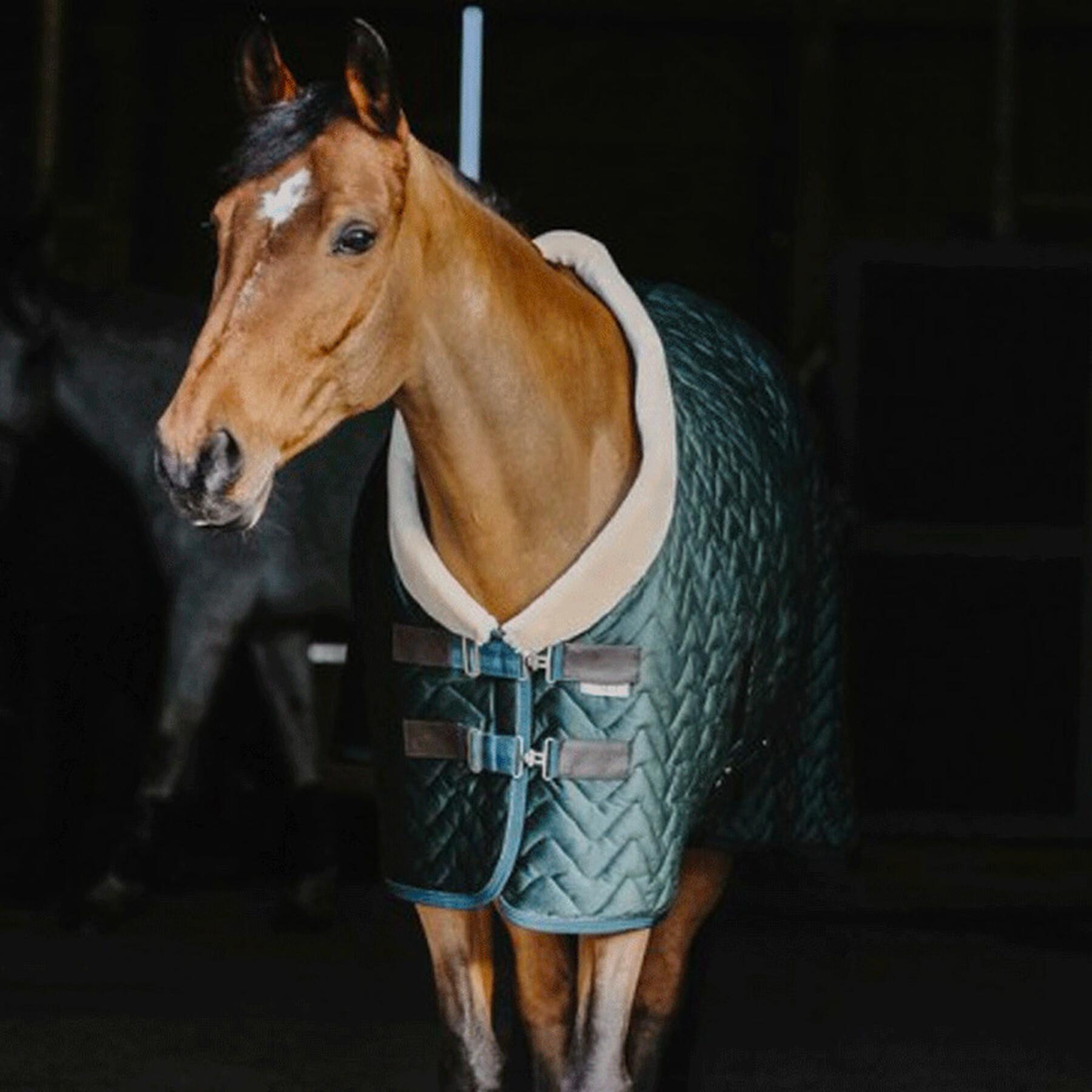 Outdoor velvet horse blanket Equithème Teddy 150 g
