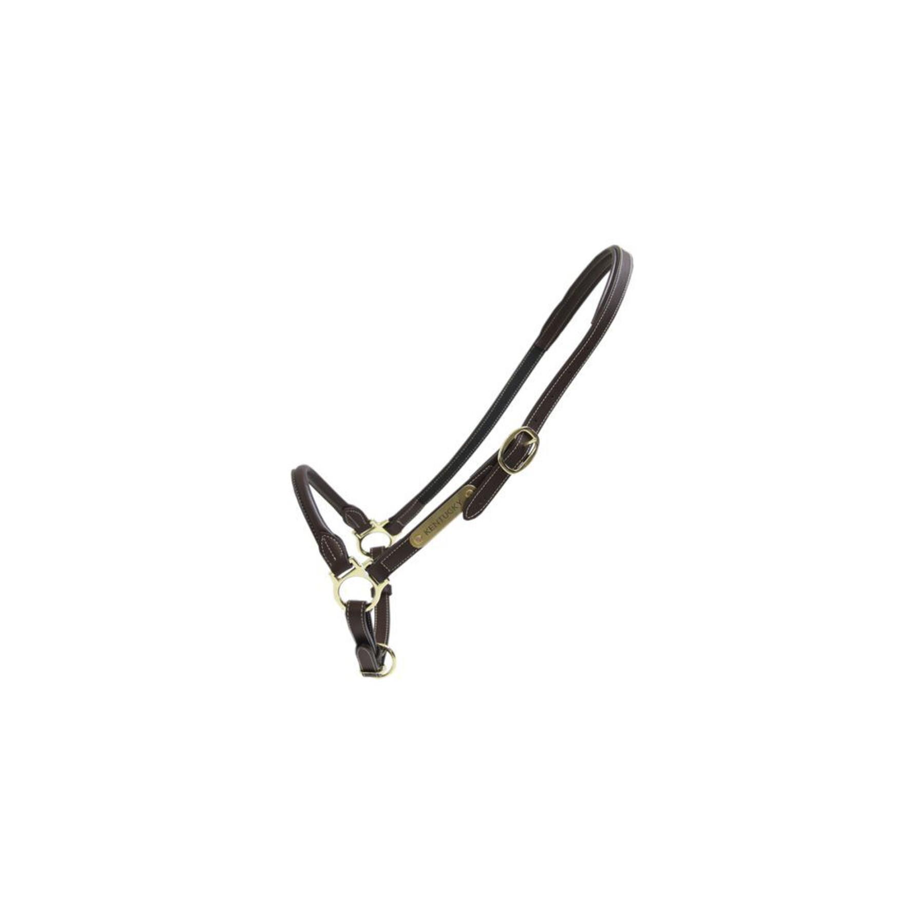 Leather halter for grooming horses Kentucky