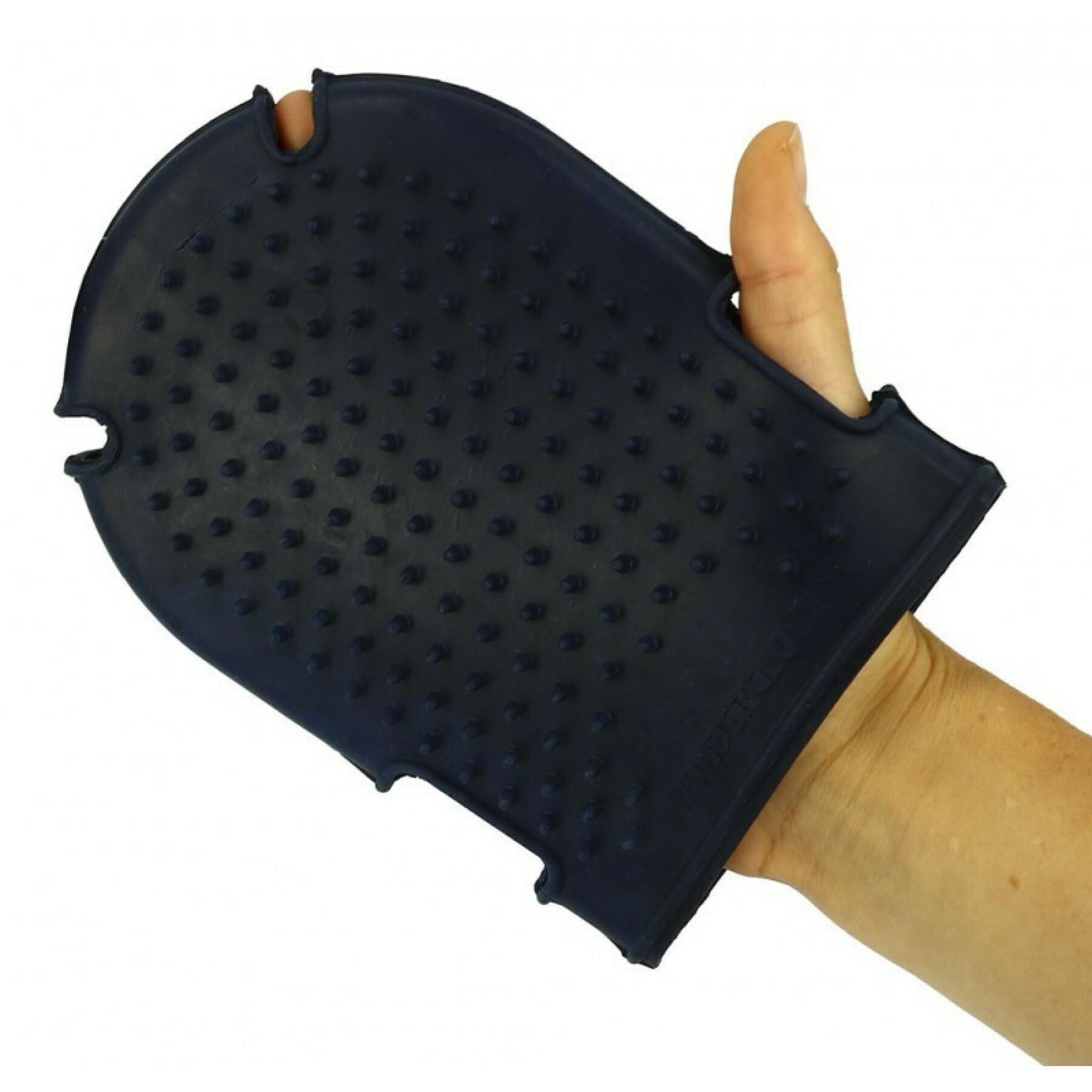Grooming Glove Hippotonic