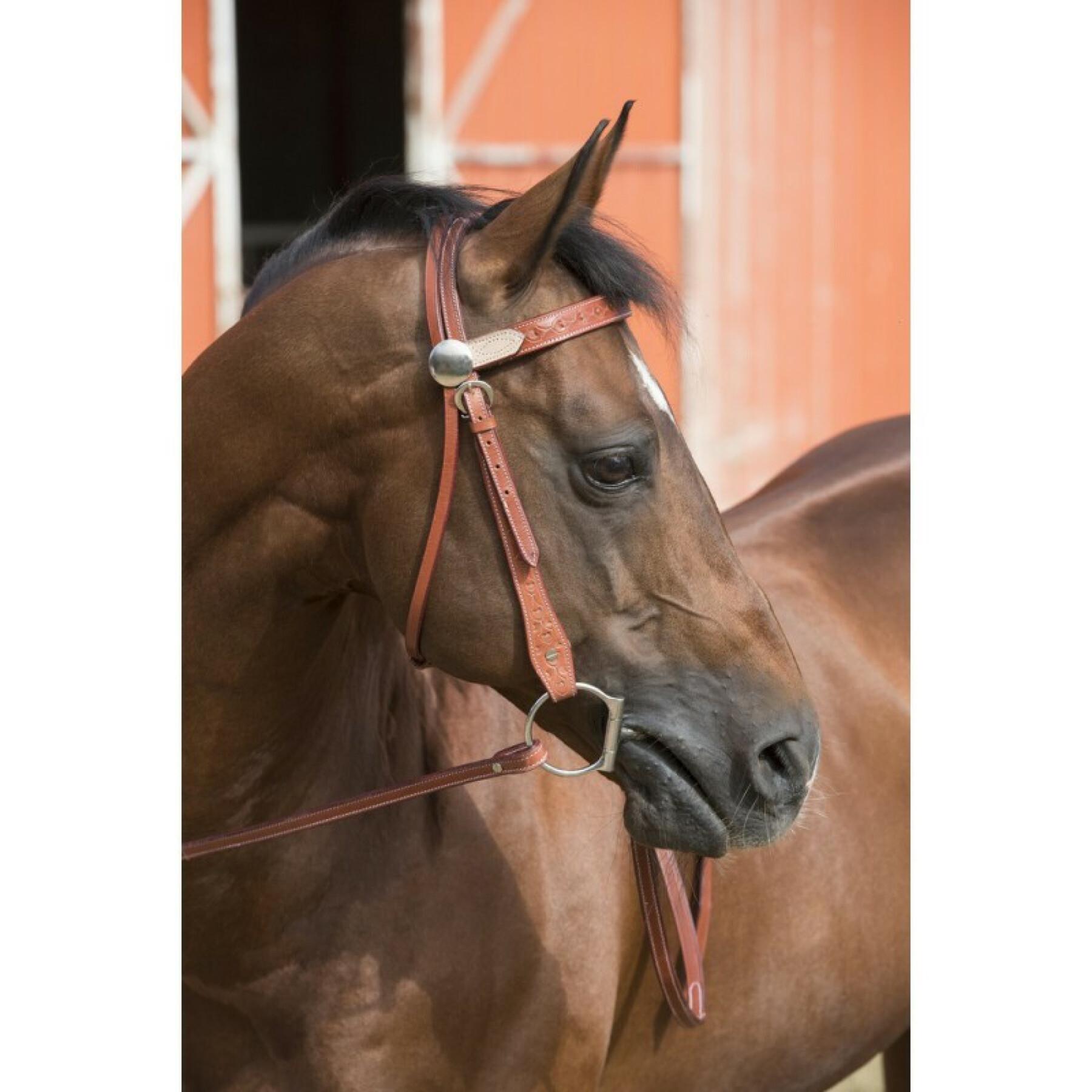 Bridles for horses Randol's Two tone