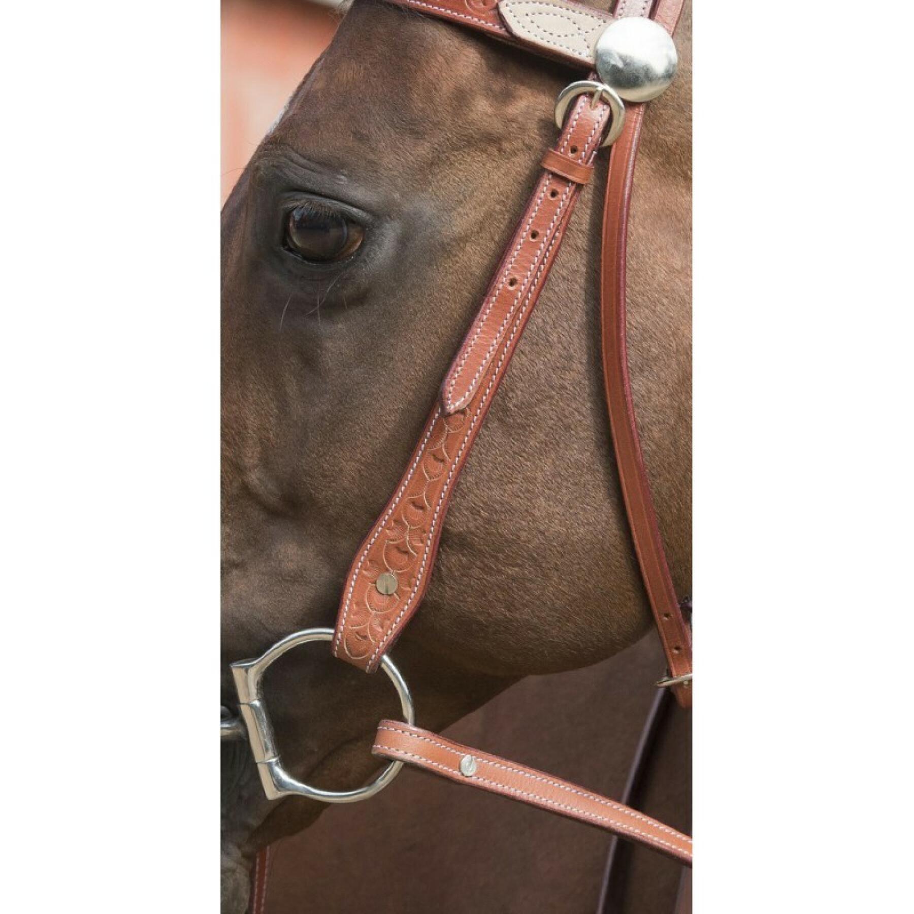 Bridles for horses Randol's Two tone