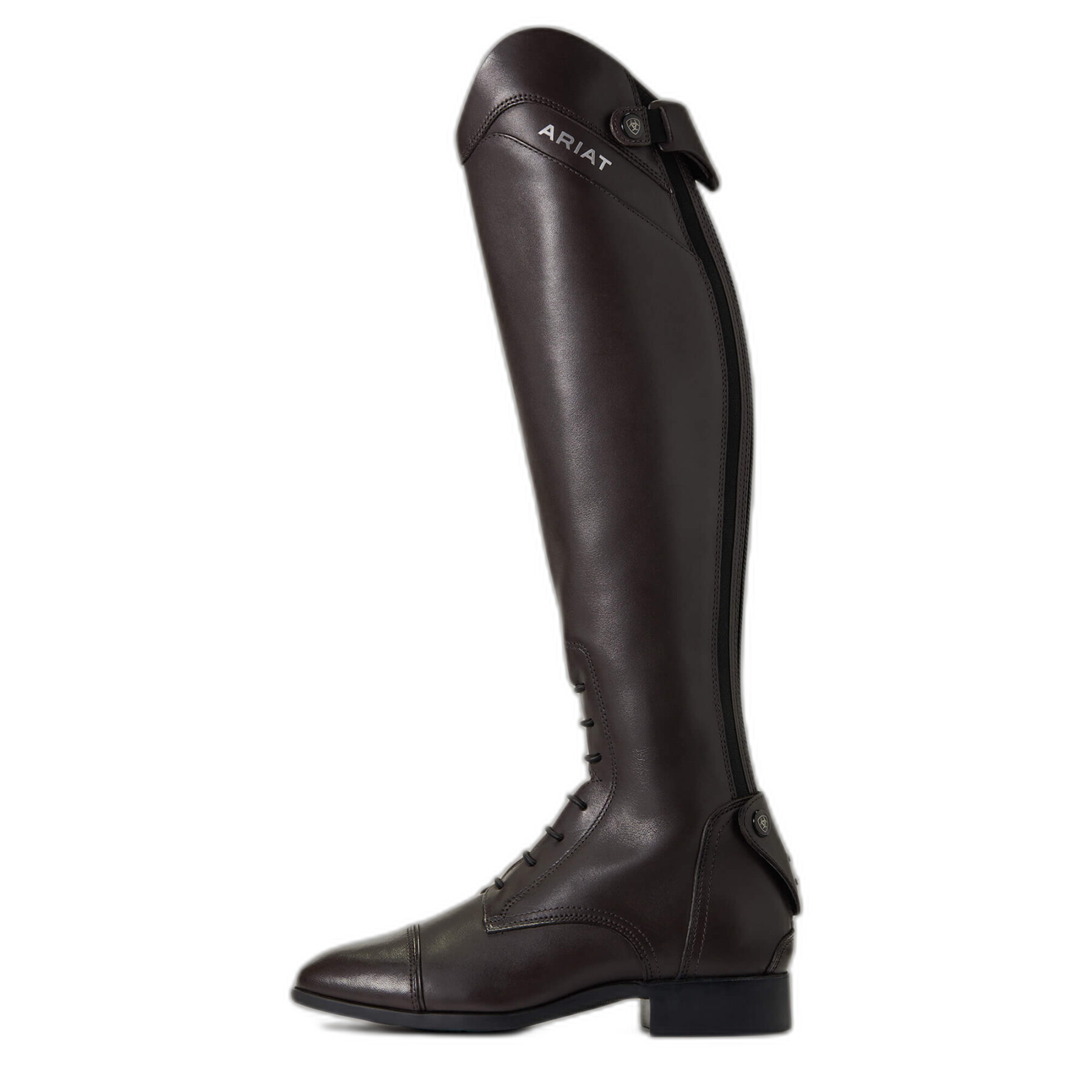 Women's riding boots Ariat Palisade Cocoa