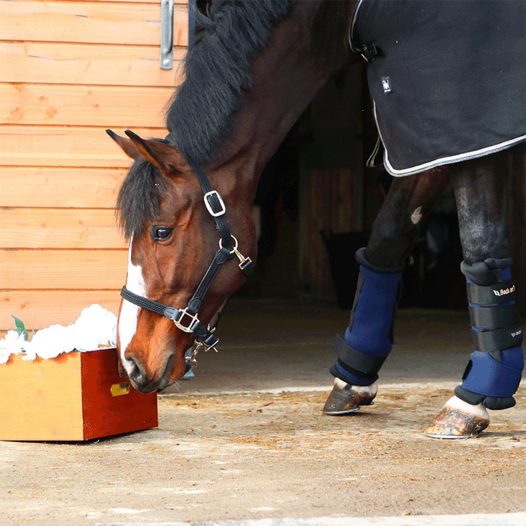 Stable boots for horses Back on Track Royal