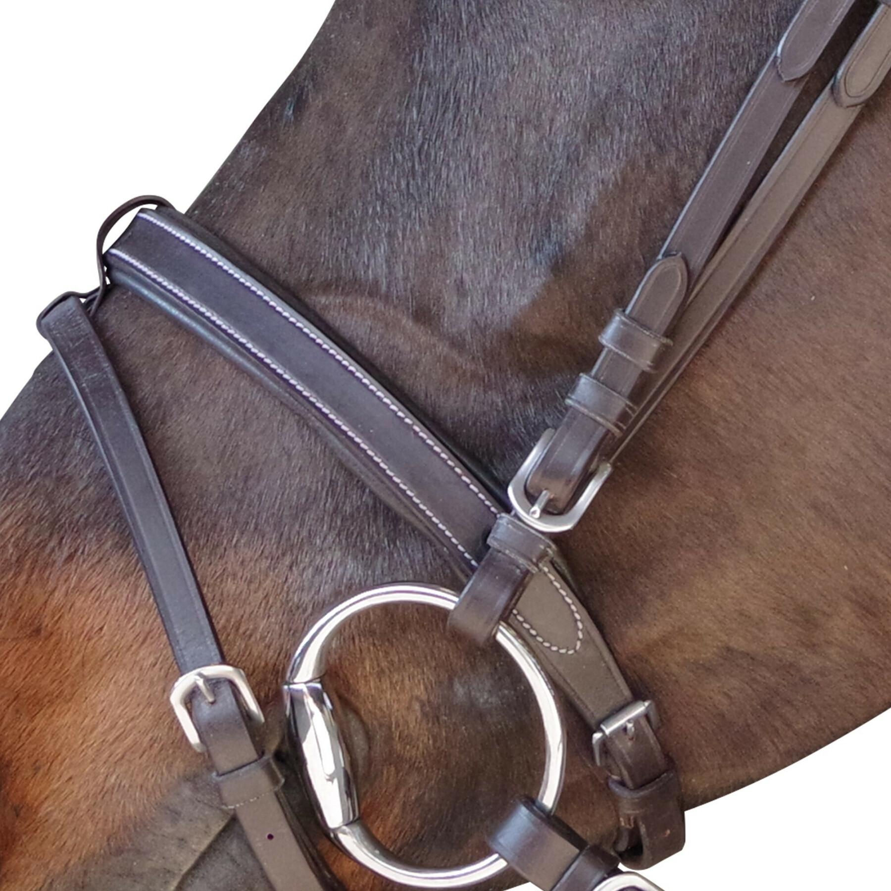 Bridle flat lined Canter