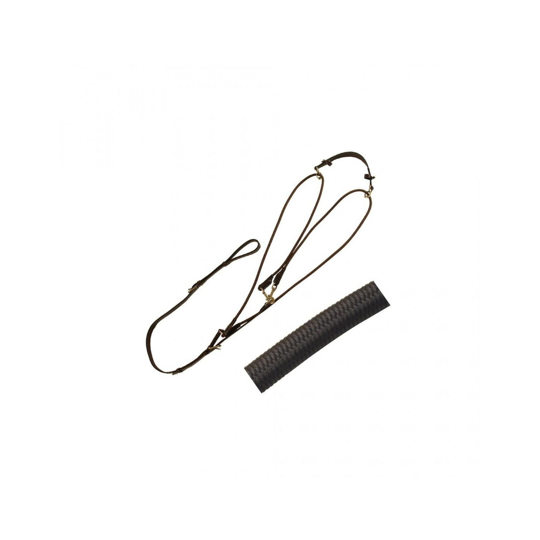 Elastic gogue for horse Canter