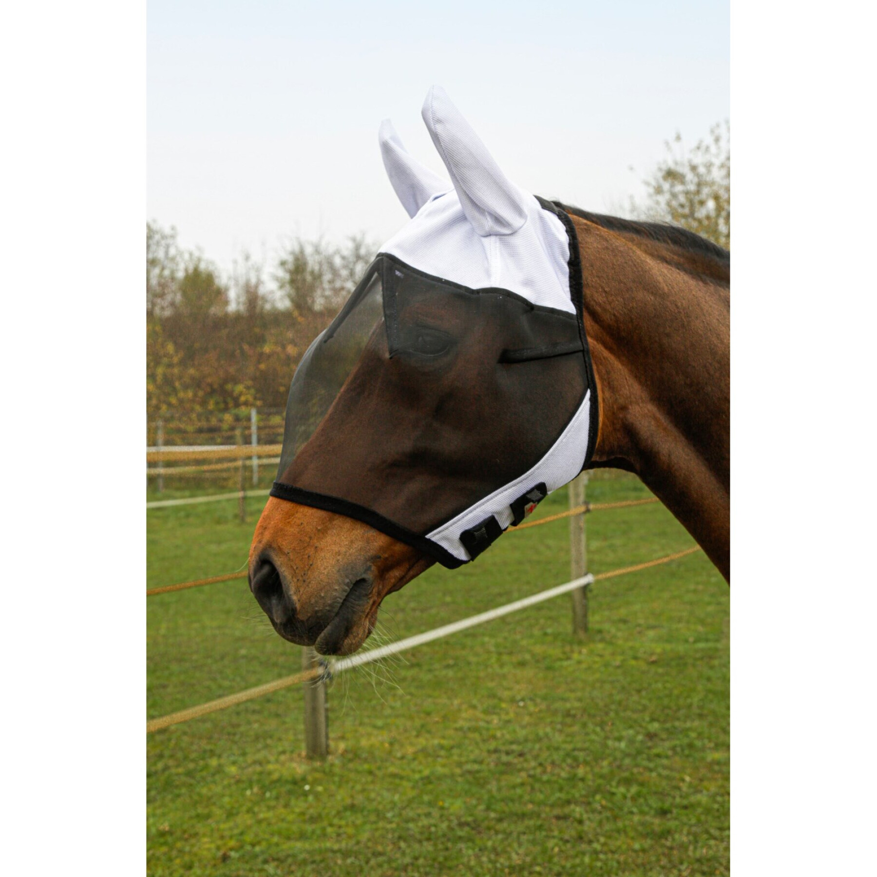 Horse fly mask with ear protection Covalliero SuperFly