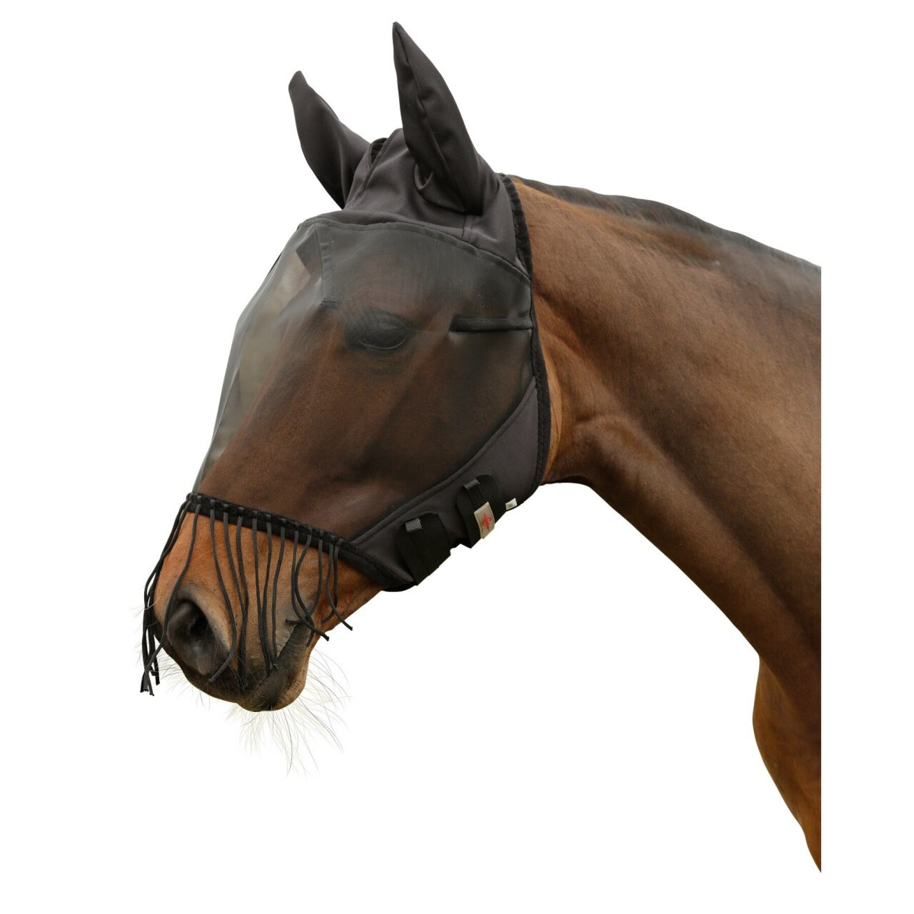 Horse fly mask with ear protection and nostril fringe Covalliero