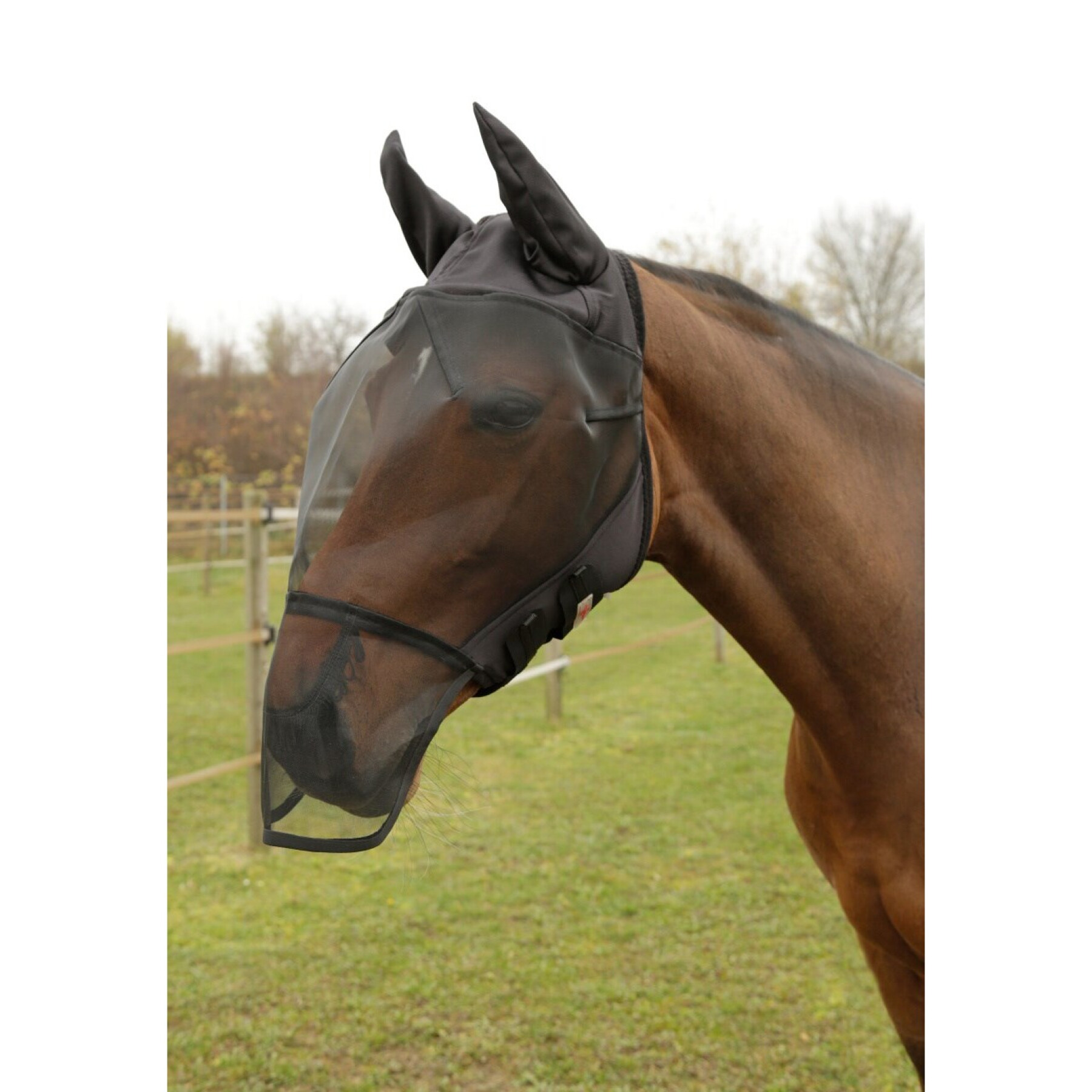 Horse fly mask with ear protection and nostril fringe Covalliero