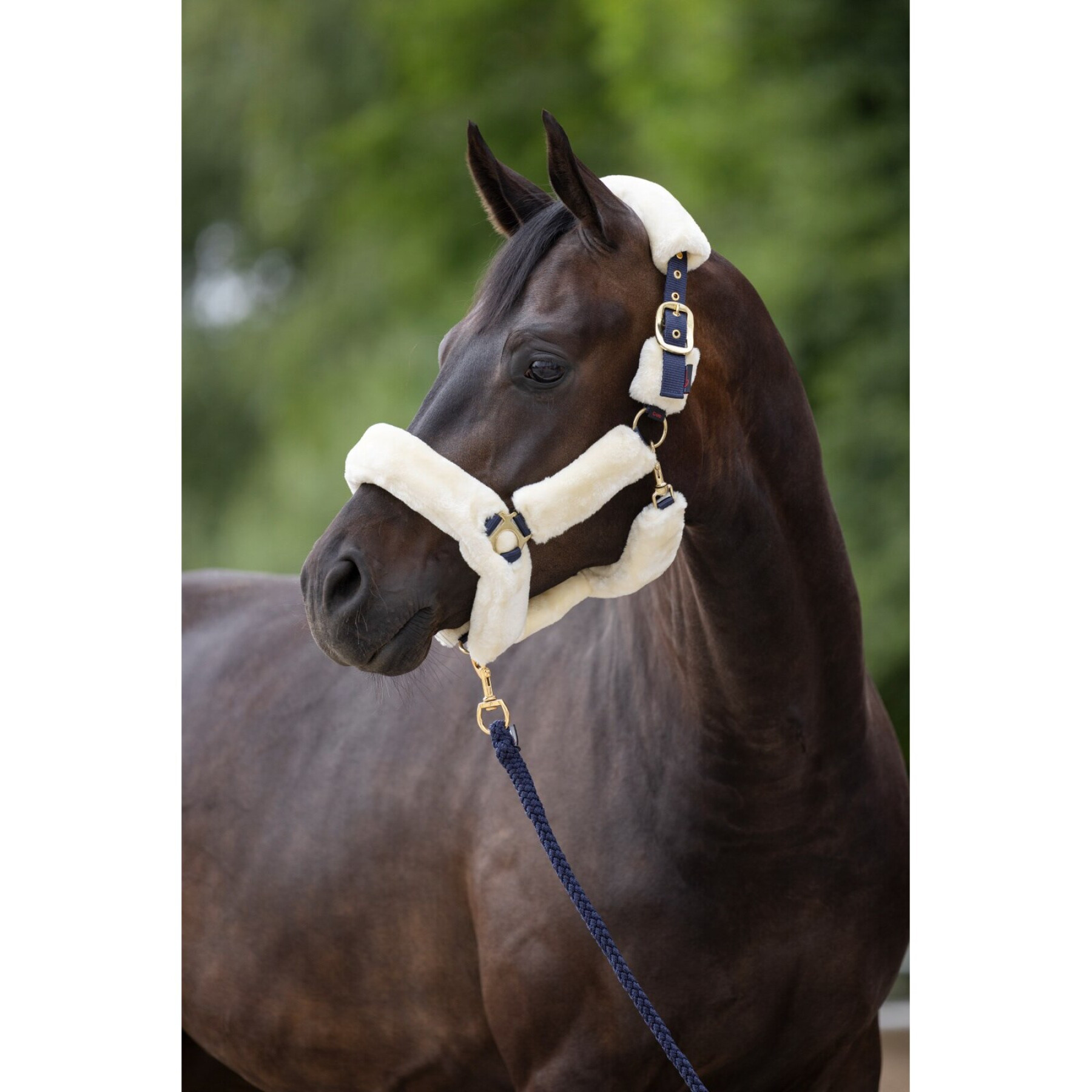 Fur halter for horse Covalliero SuperSoft