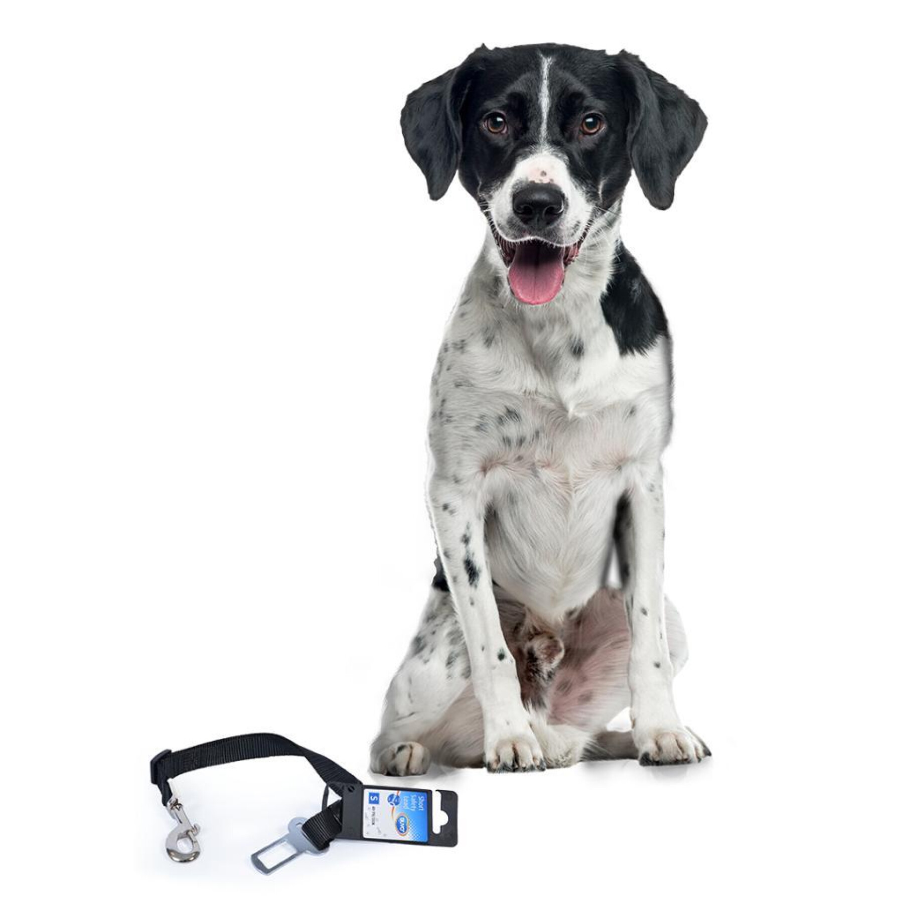 Dog car safety belt Duvoplus
