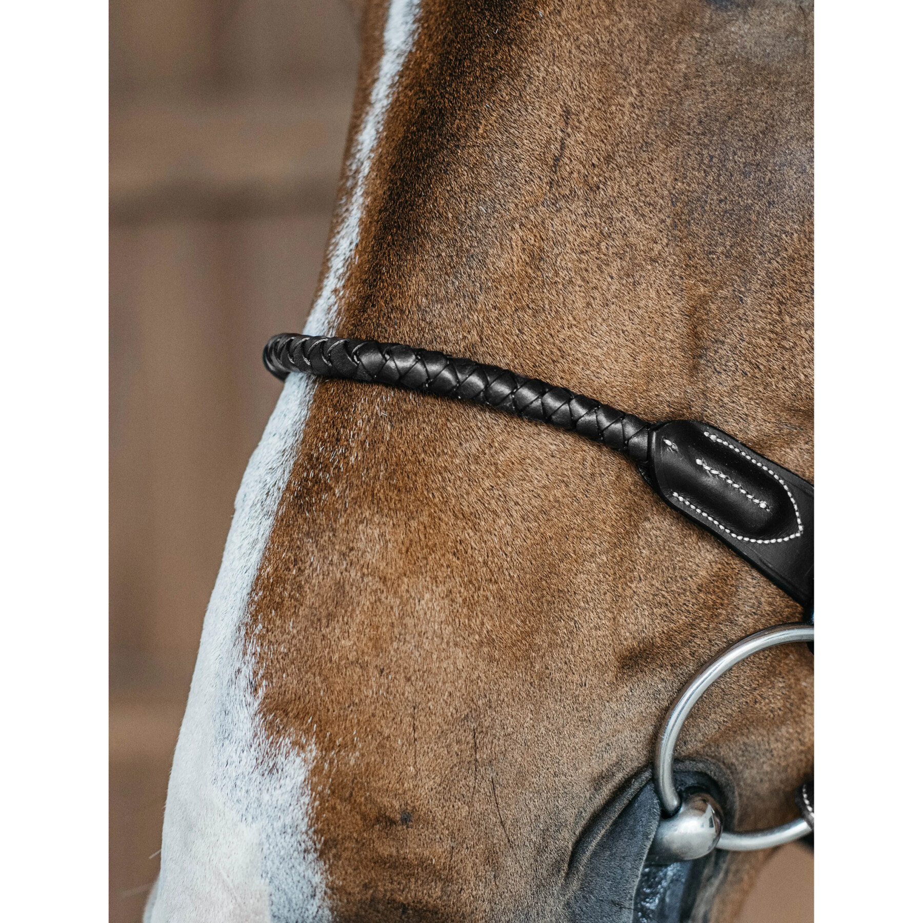 Round braided riding bridle with English-combined noseband Dy’on