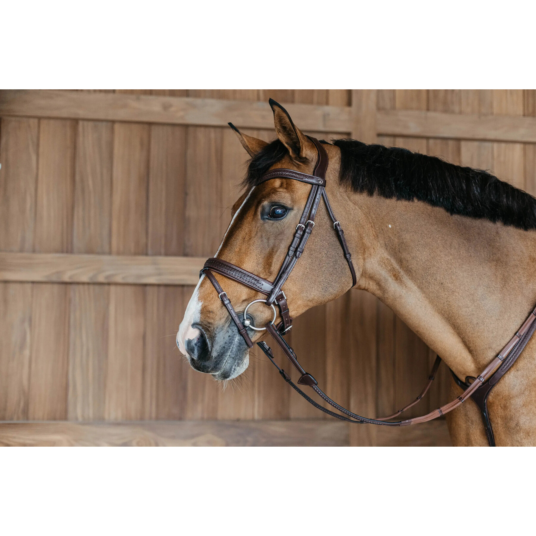 English-combined riding halter with pull-back noseband Dy’on