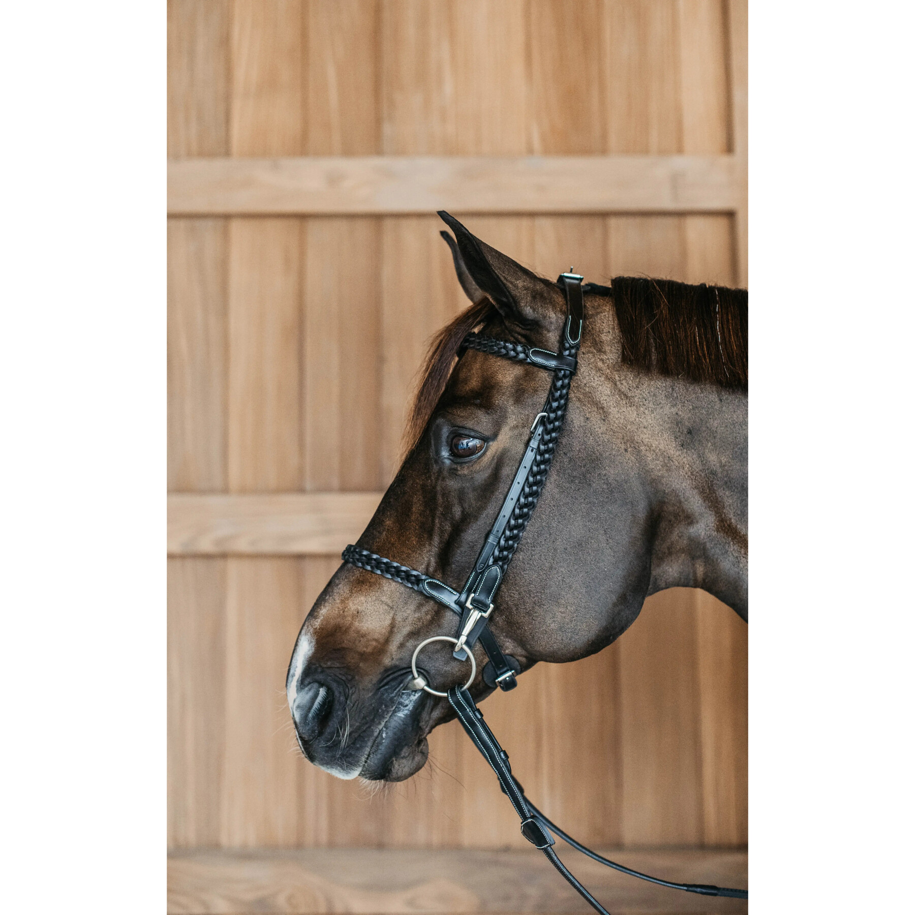 Braided riding bridles Dy’on