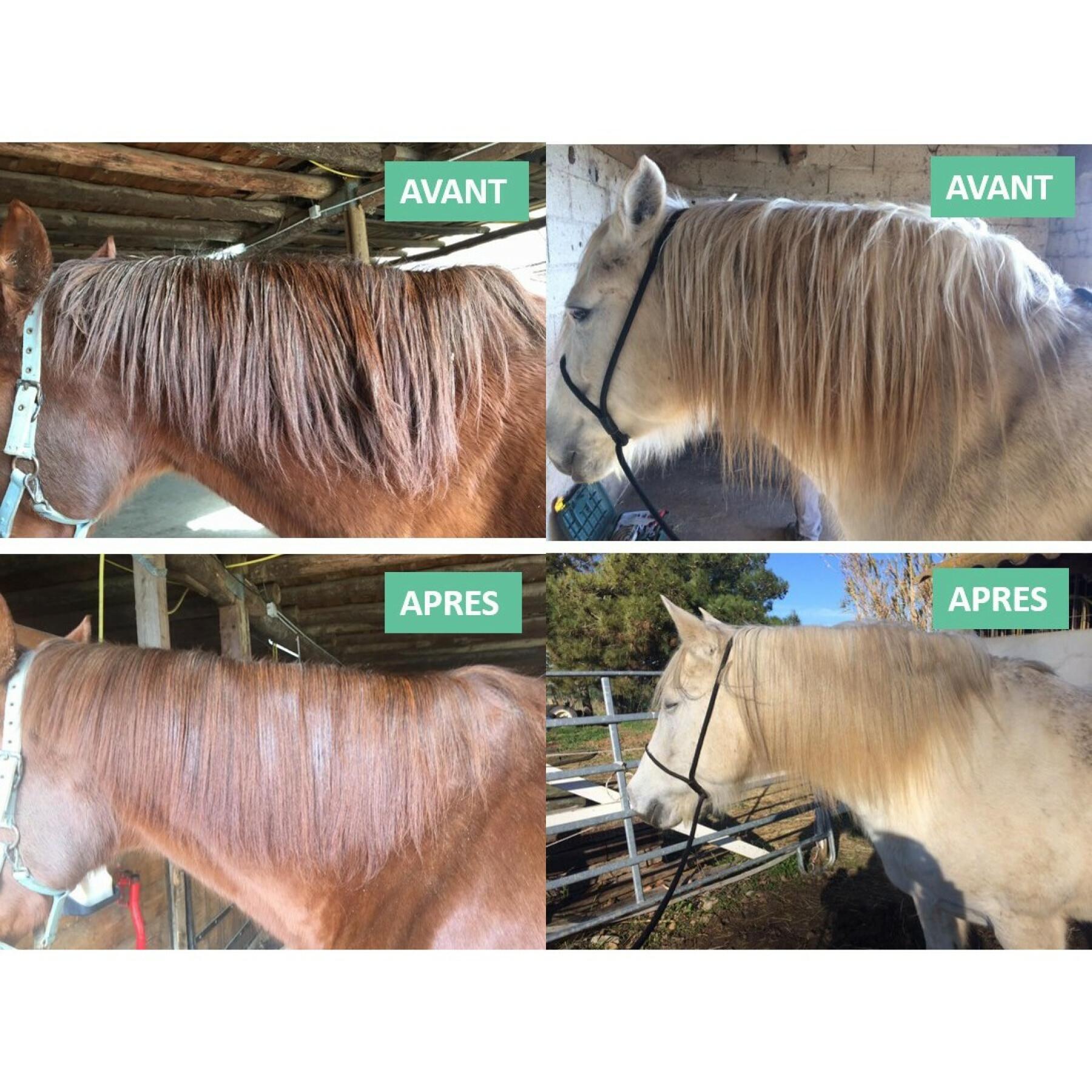 Horse hair detangler Ekin 4 L