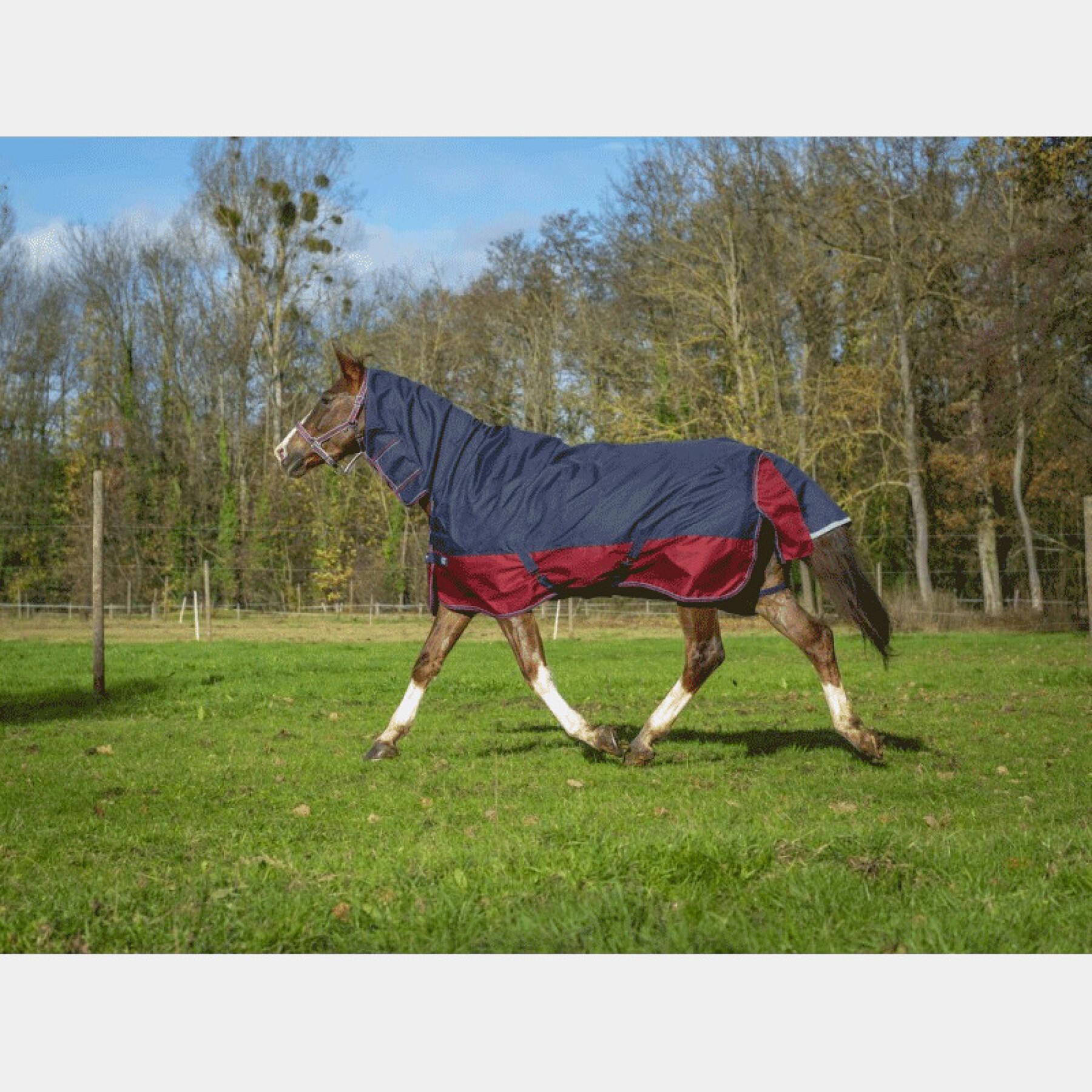 Outdoor horse blanket Equithème Tyrex 1200 D Combo 200g