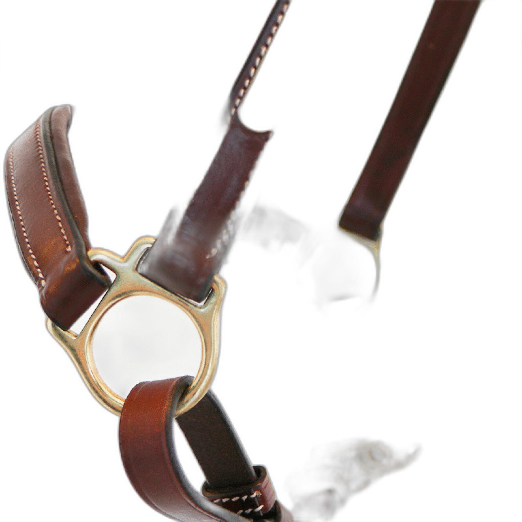 Halter for pony leather grooming ERIC THOMAS “Pro”