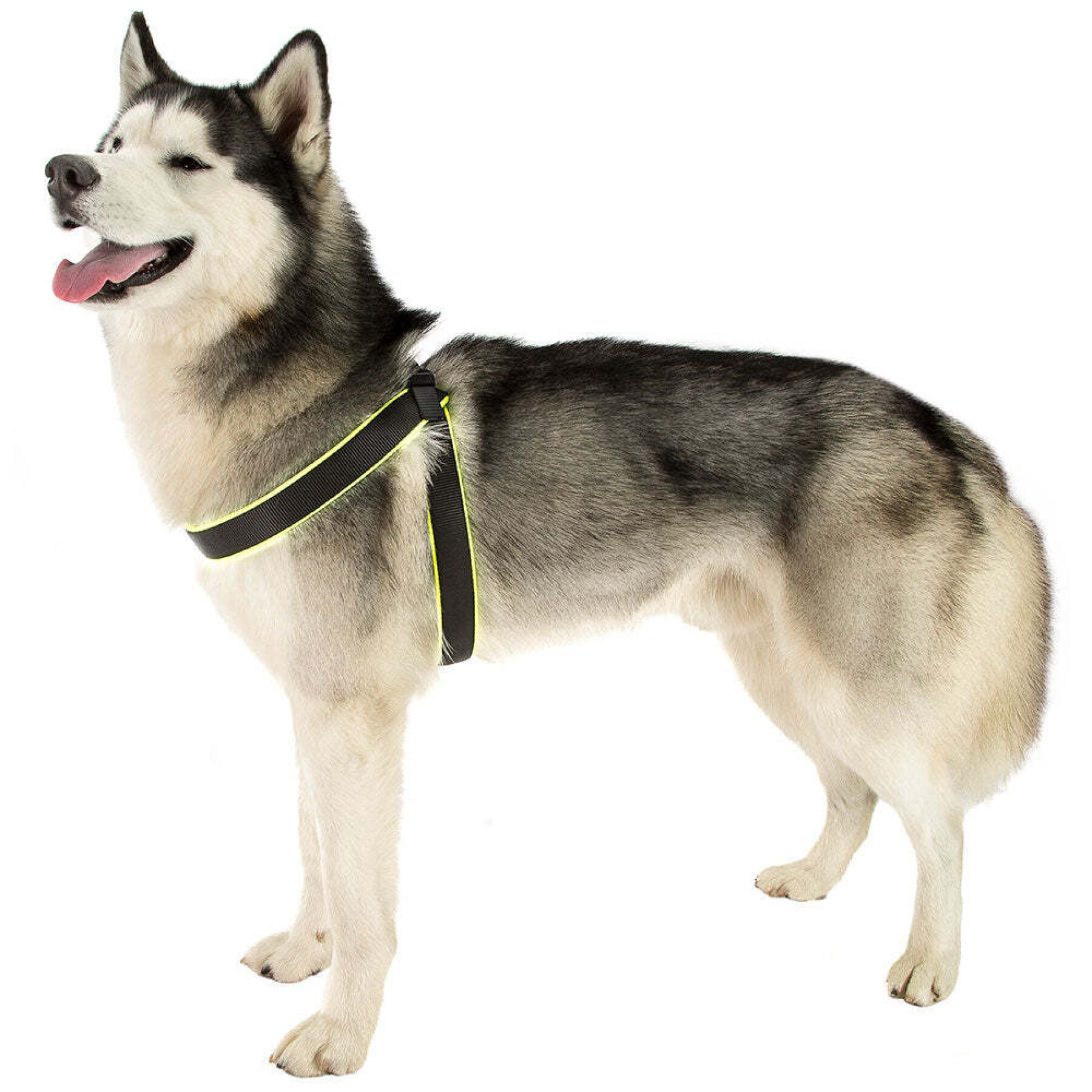 Dog harness Ferplast Agila Fluo 7