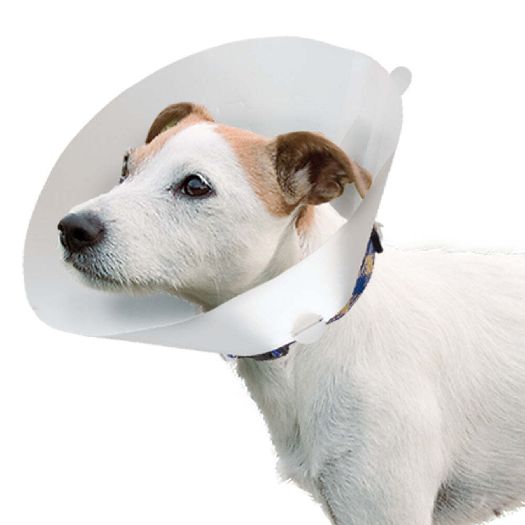 Veterinary dog collar Ferplast GRO 6006