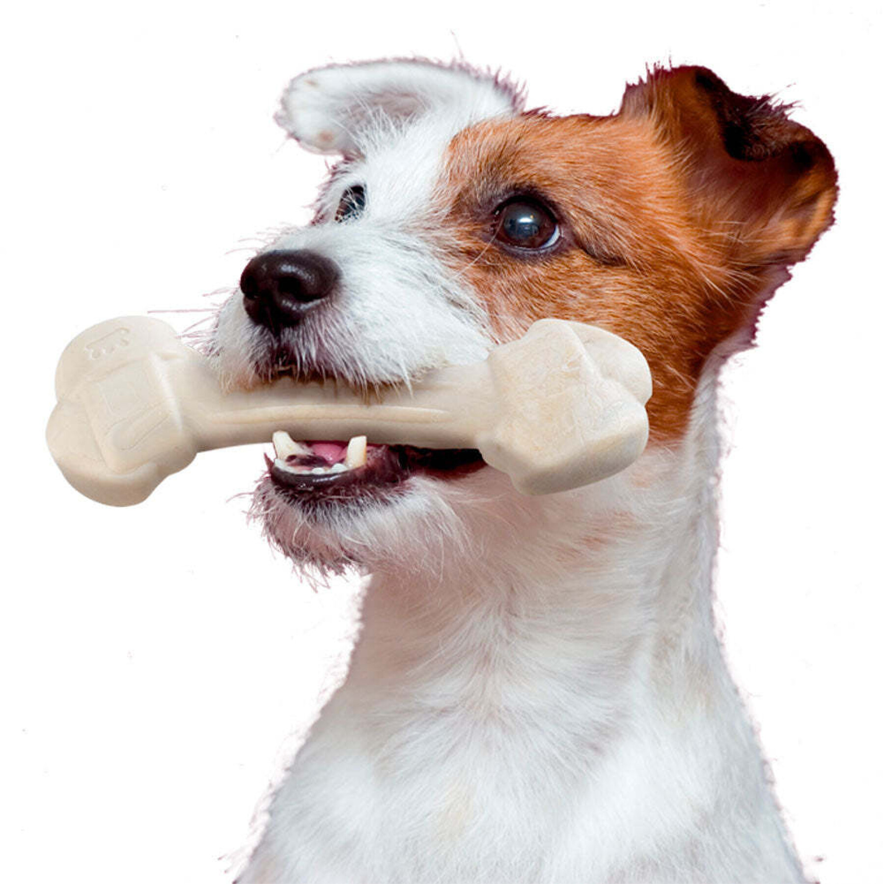 Chicken-flavored chew toy for dogs Ferplast