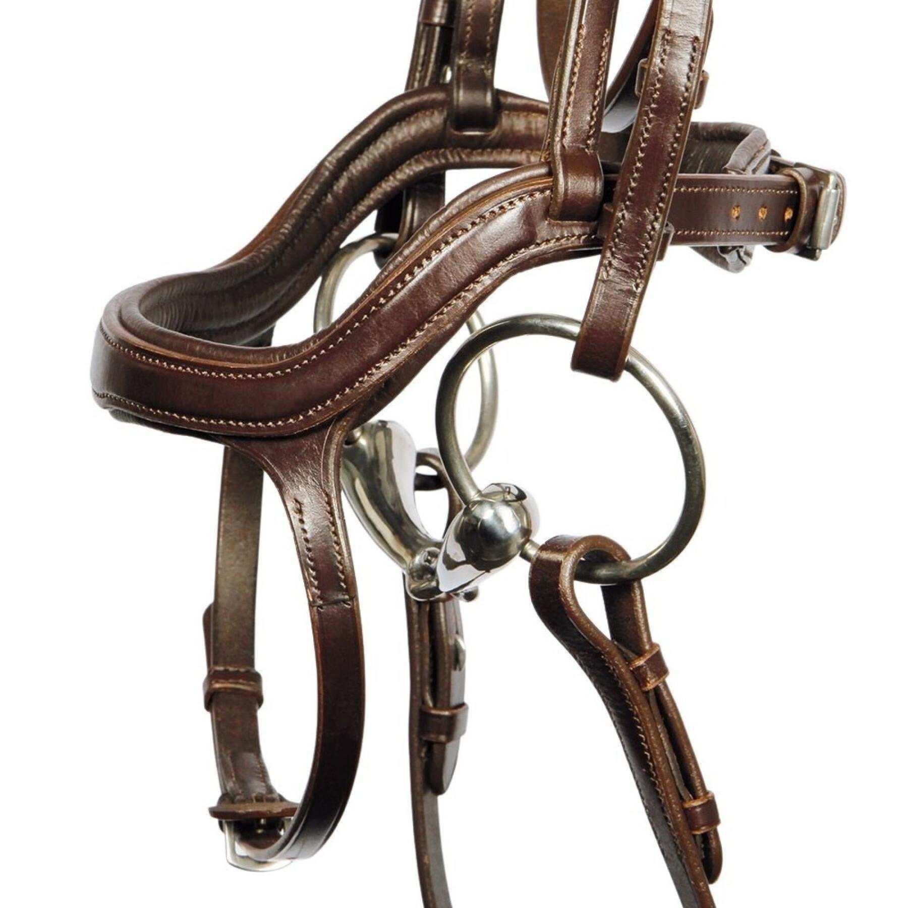 Bridles for horses Harry's Horse Anatomic