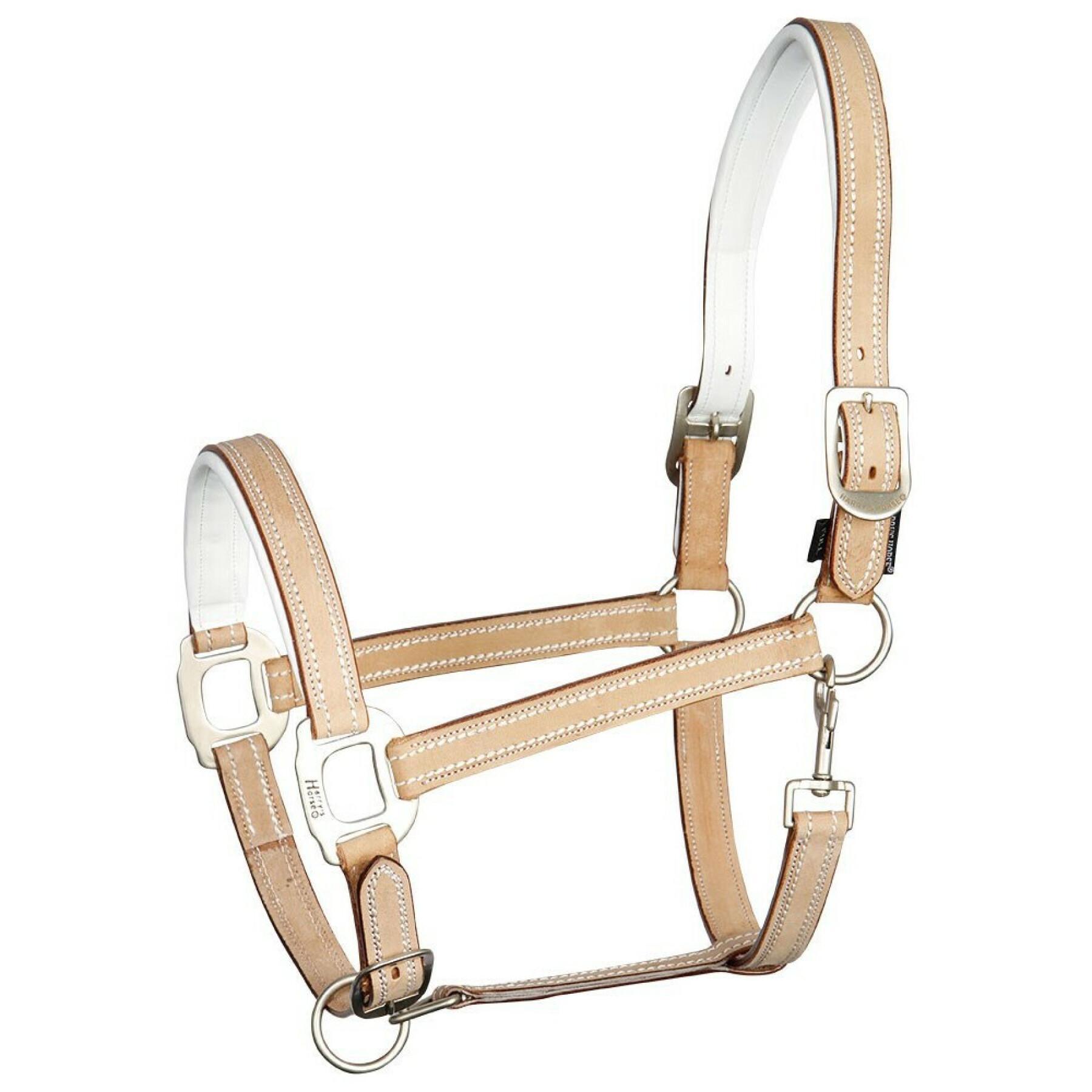 Leather halter for horses Harry's Horse Cremello