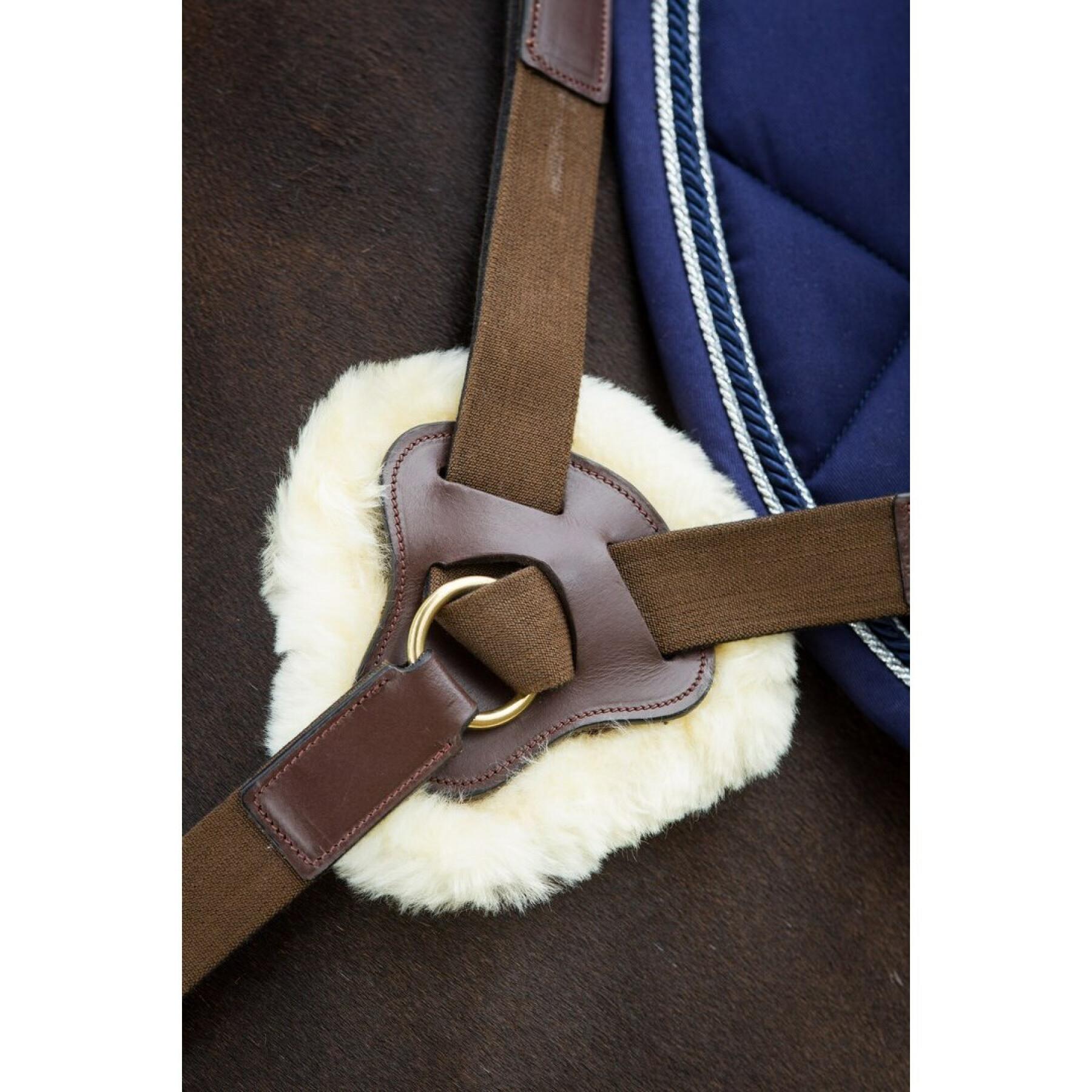 Hunting collar for horse HFI 5 Points