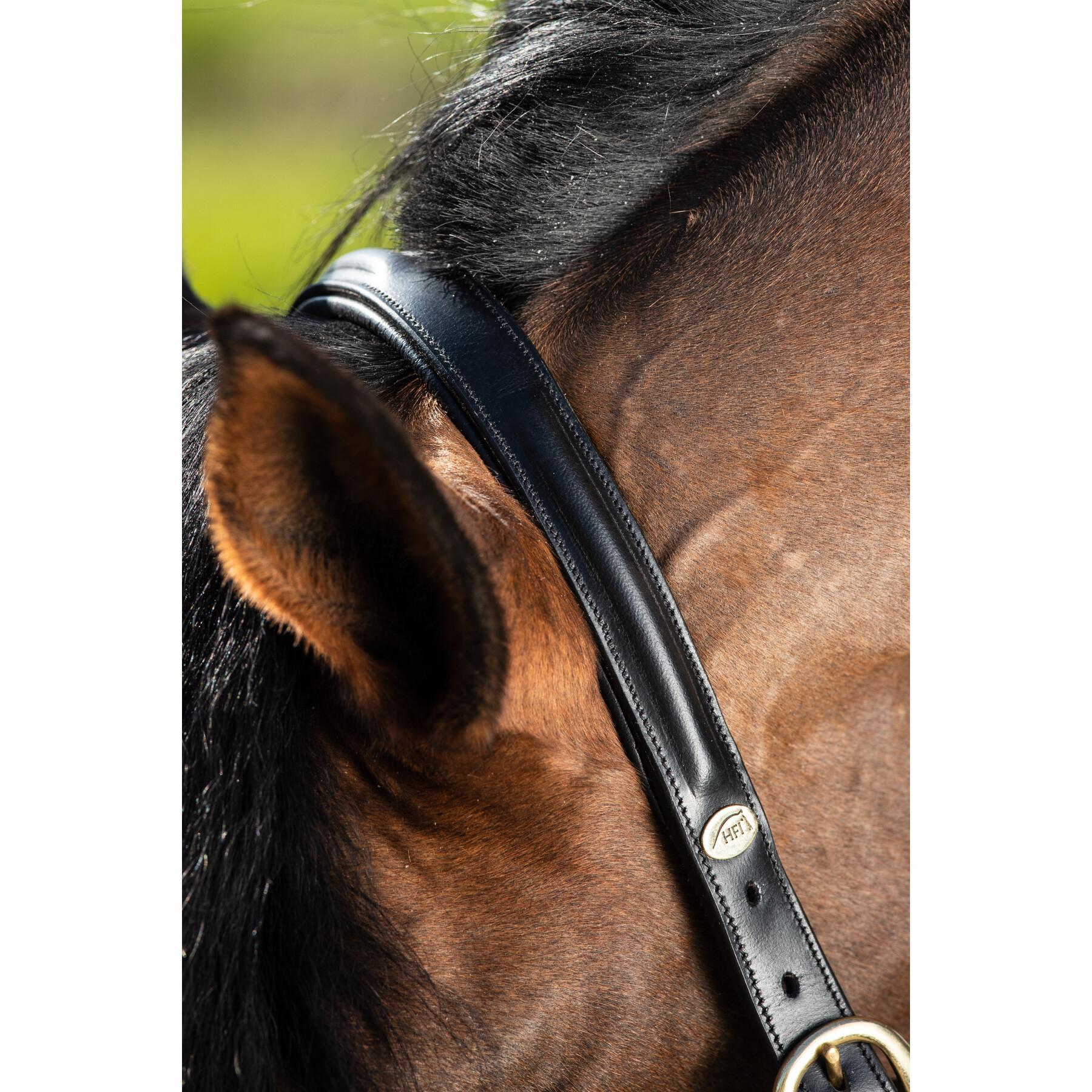Lined leather halter for horses HFI Raised