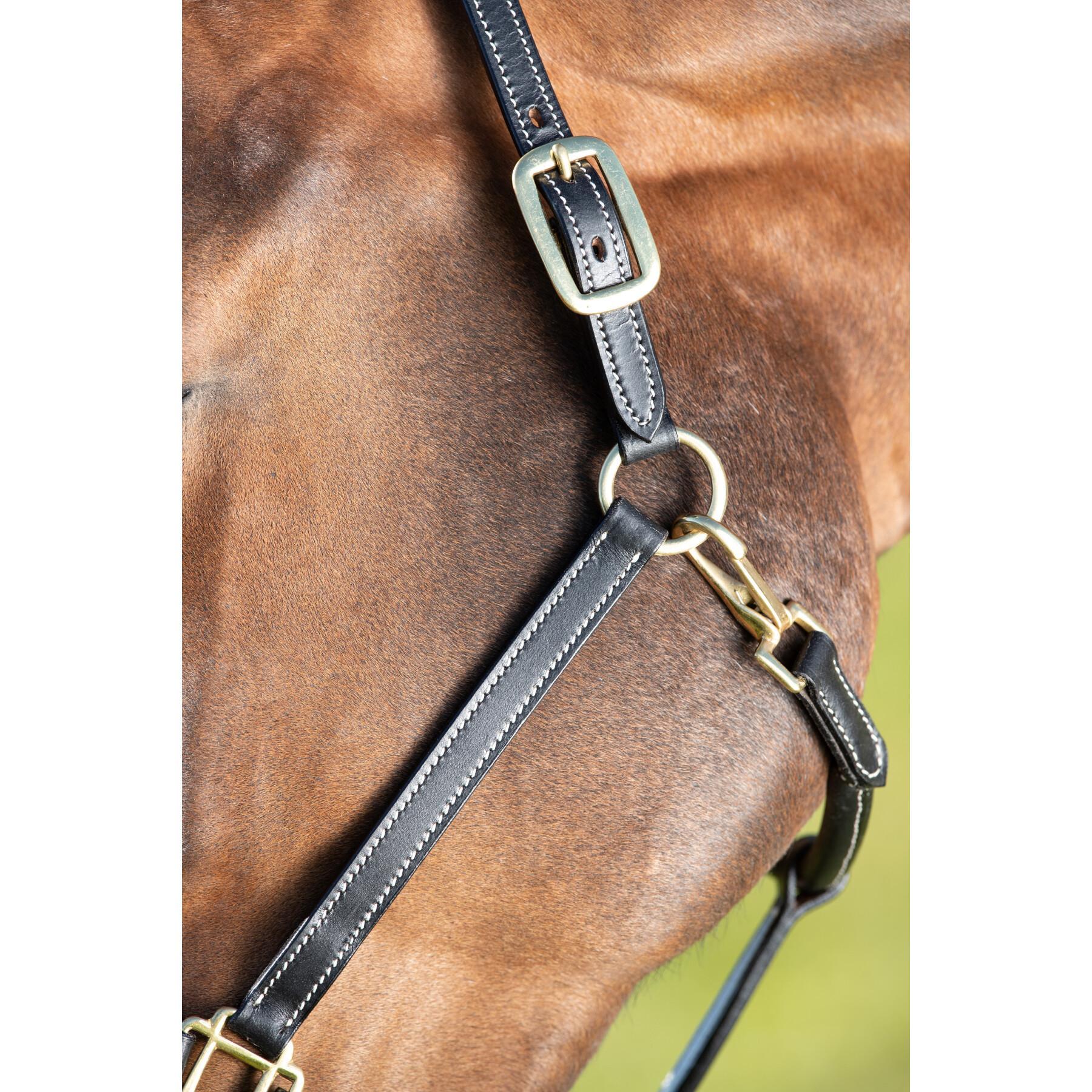 Leather halter for horse HFI