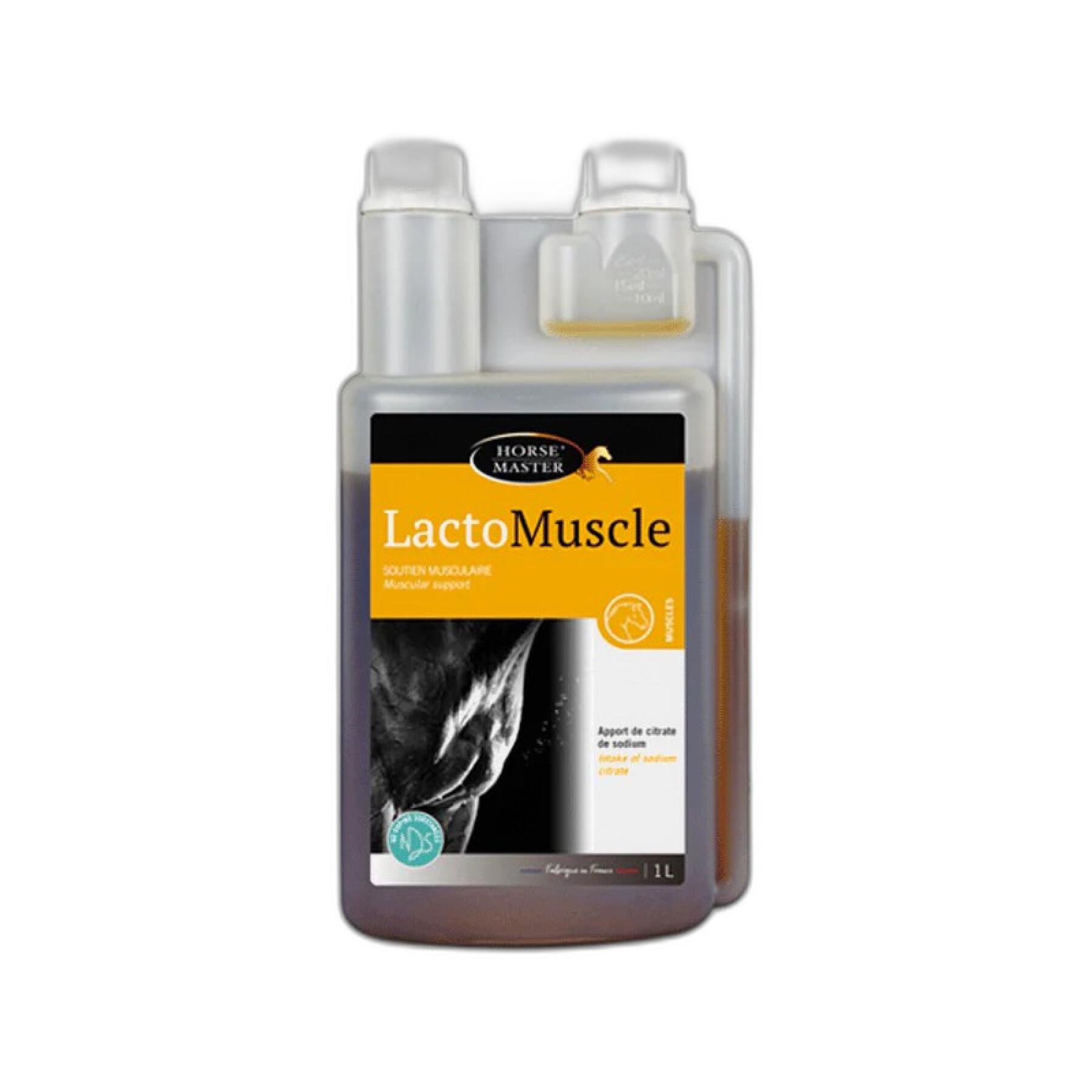 Supplement Recovery Horse Master Lactomuscle