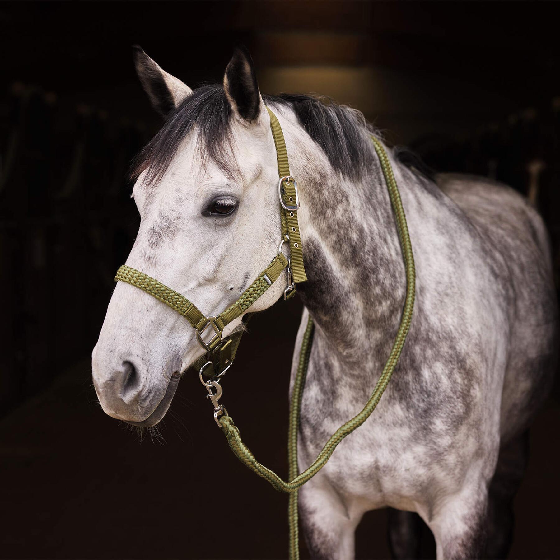 Halter and lead rope set for horse Horze Chicago