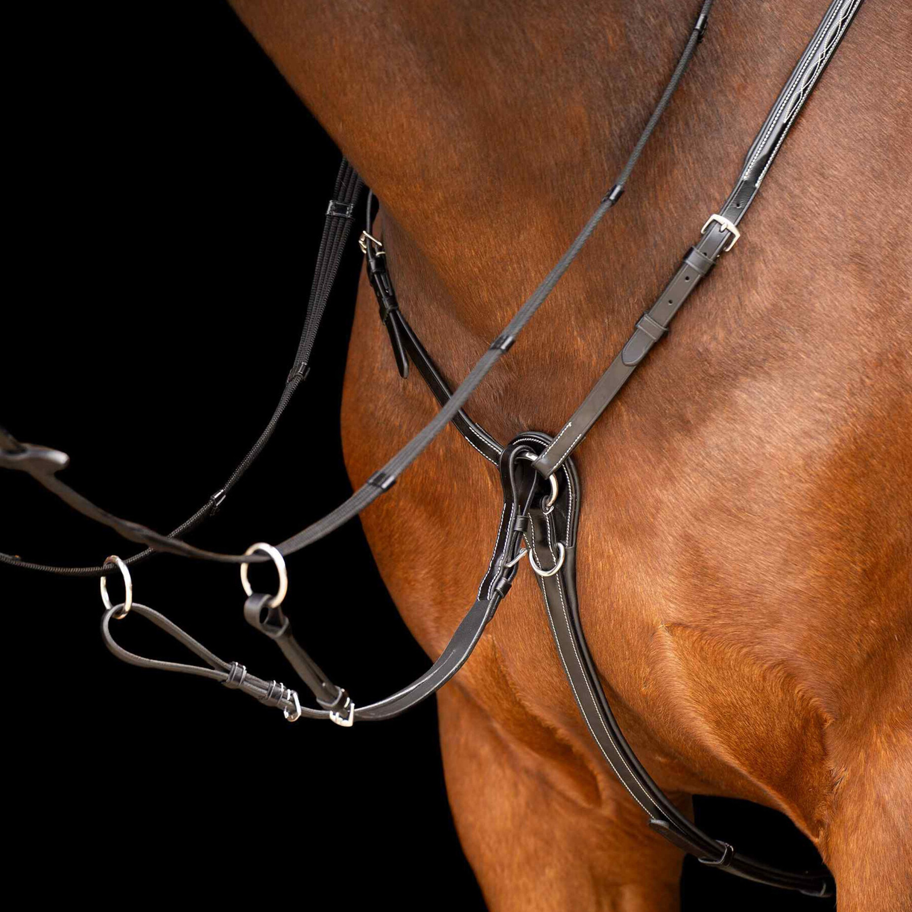 Martingale for horse HV Polo Legacy