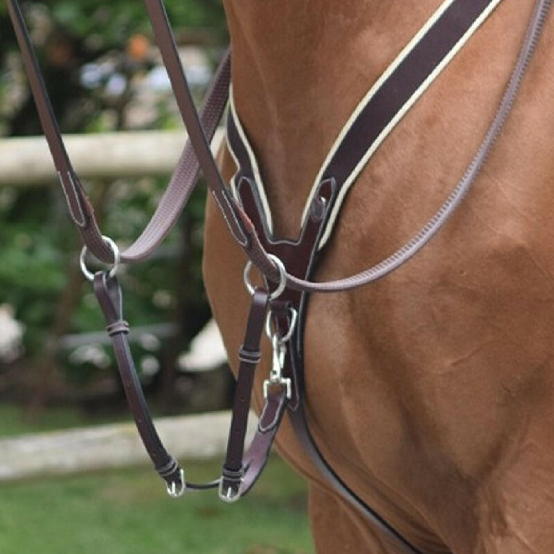 Five-point hunting collar and martingale for horse Jump'In