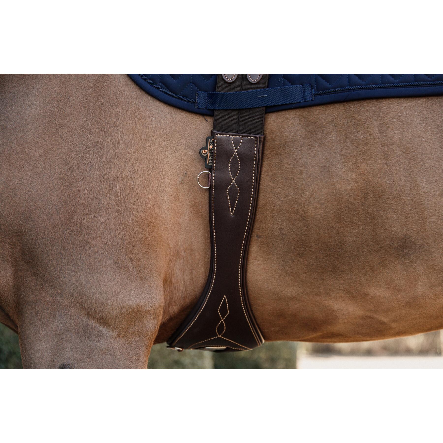 Anatomical horse girth Kentucky