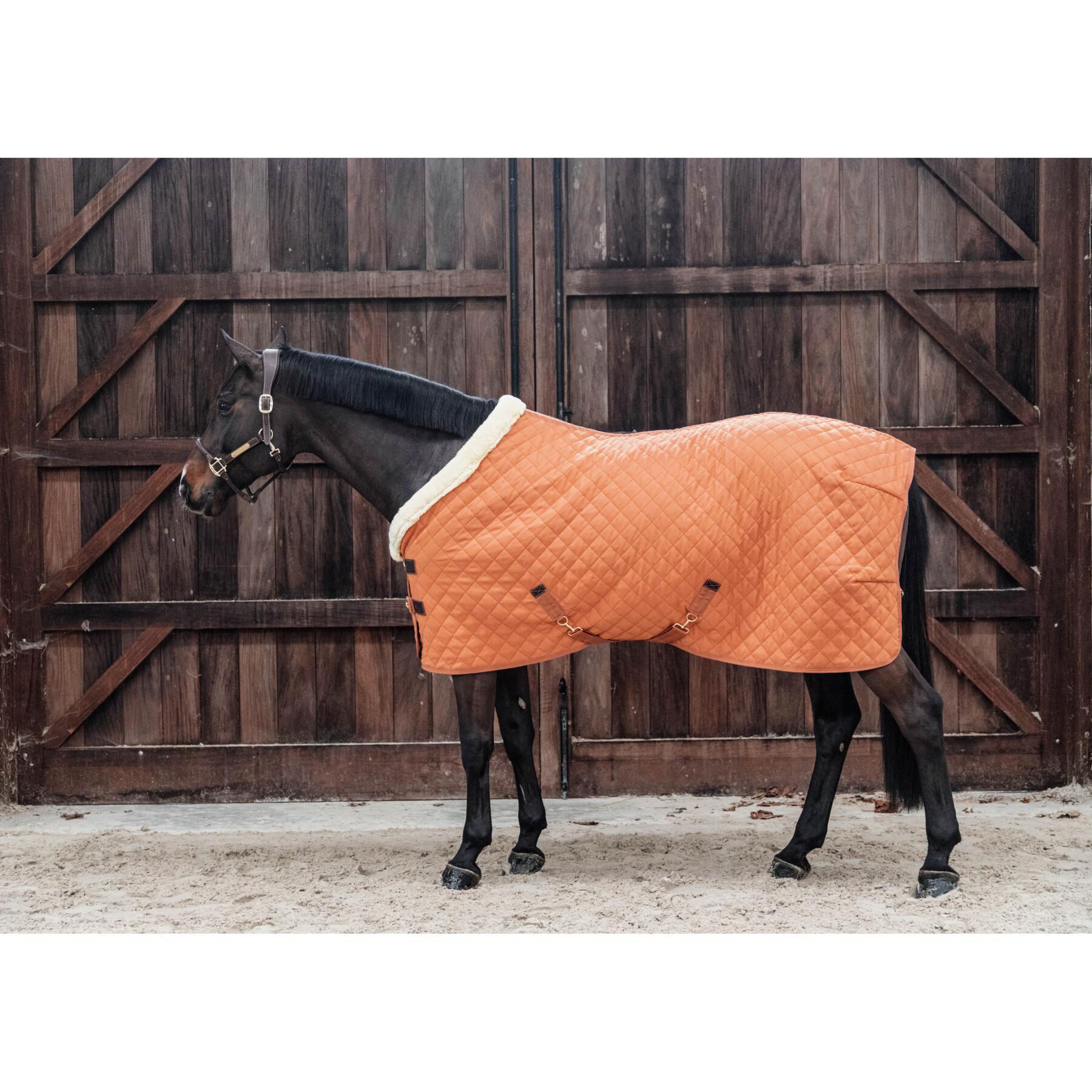 Presentation blanket for horse Kentucky 160 g