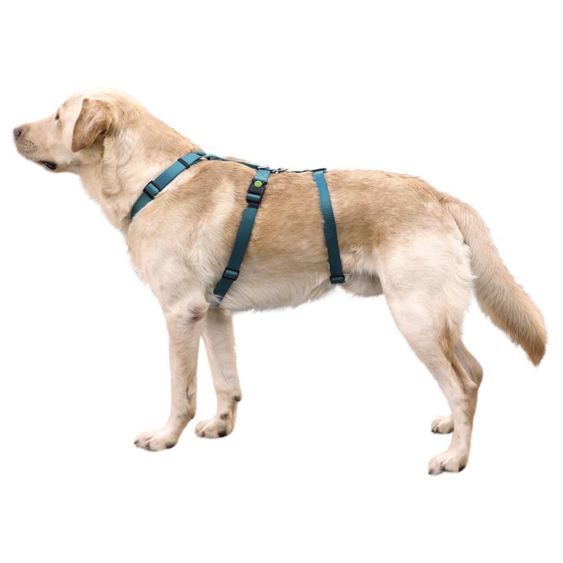 Dog harness Kerbl Miami