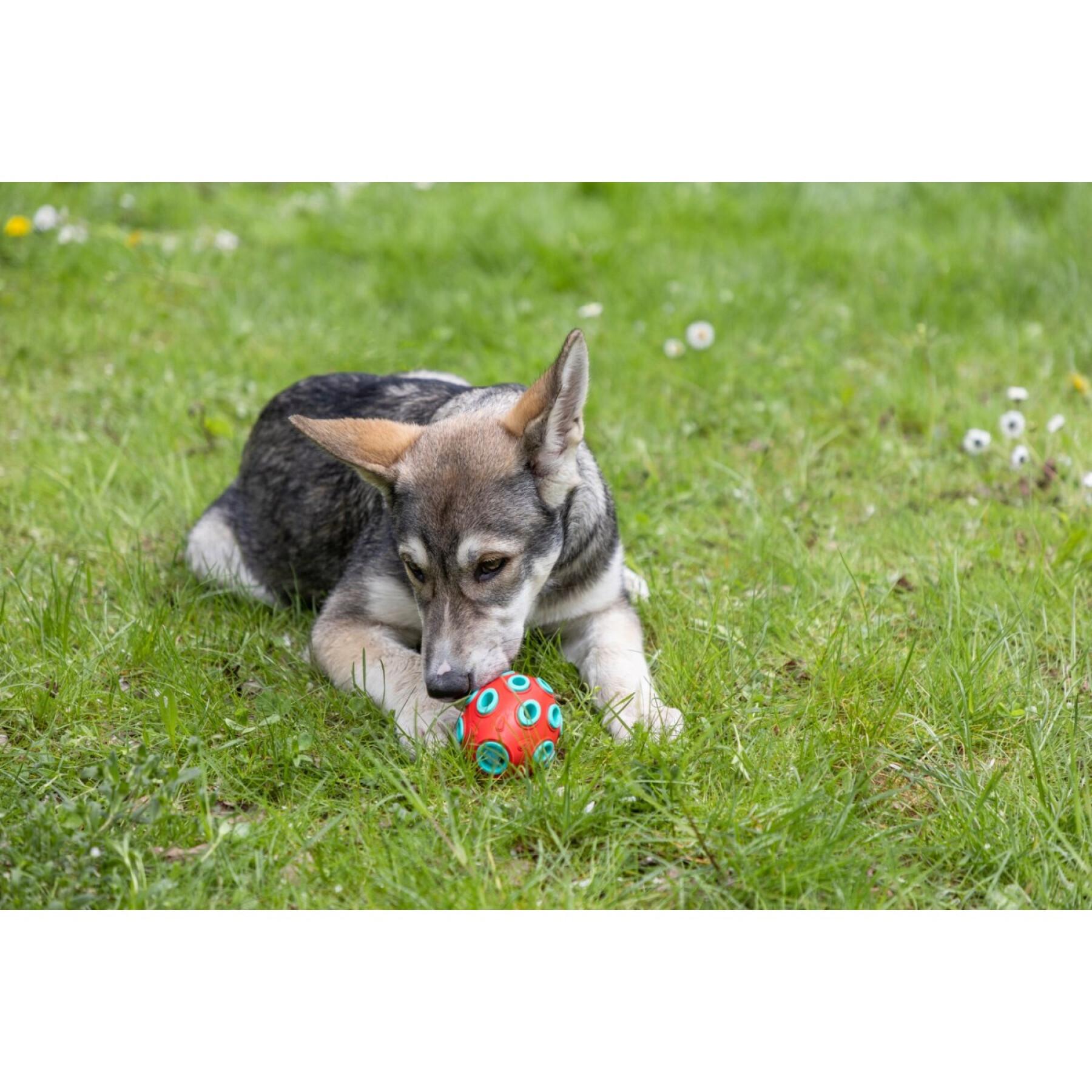 Dog toy Kerbl Rugby ToyFactic