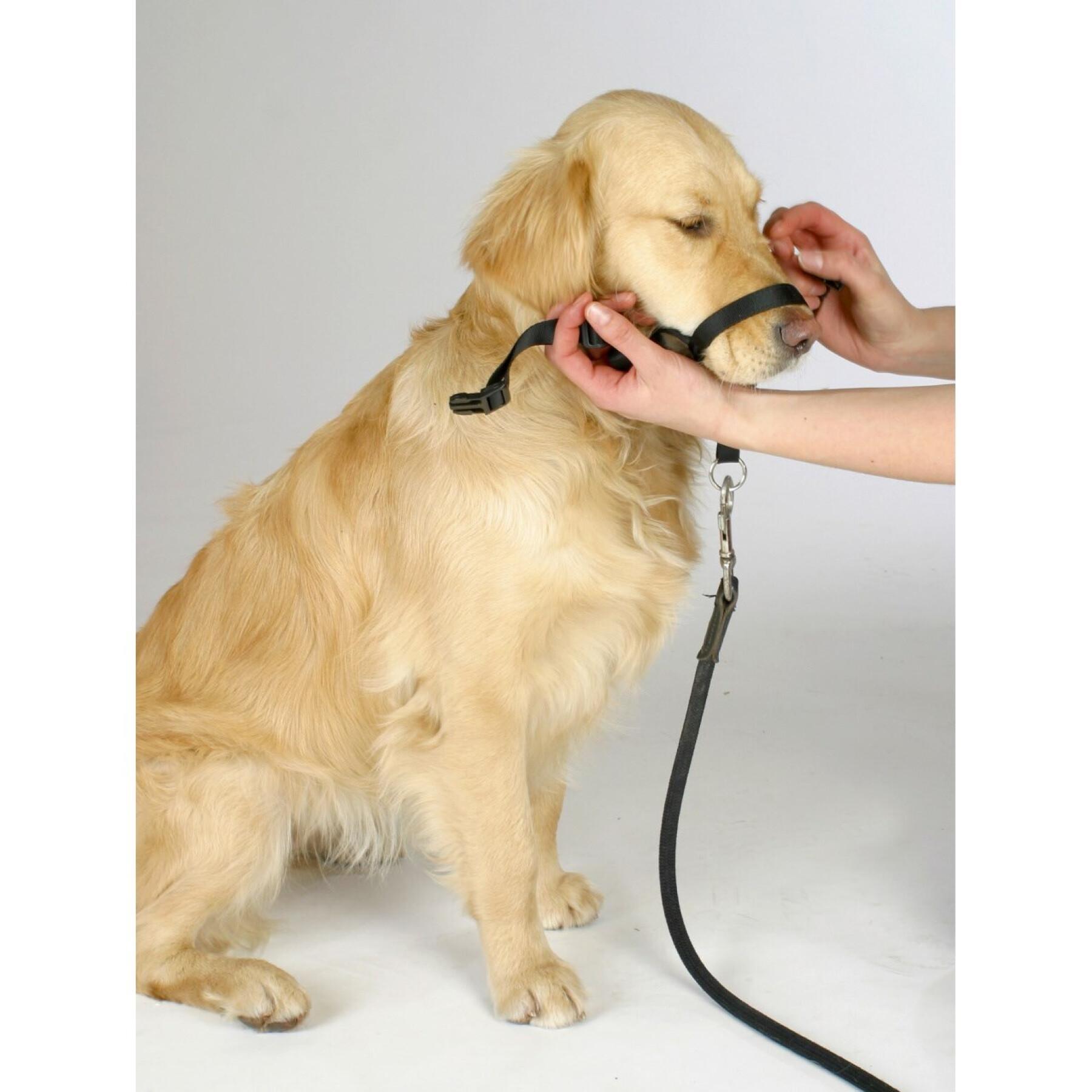 Training collar for dogs Kerbl Maxi Coach