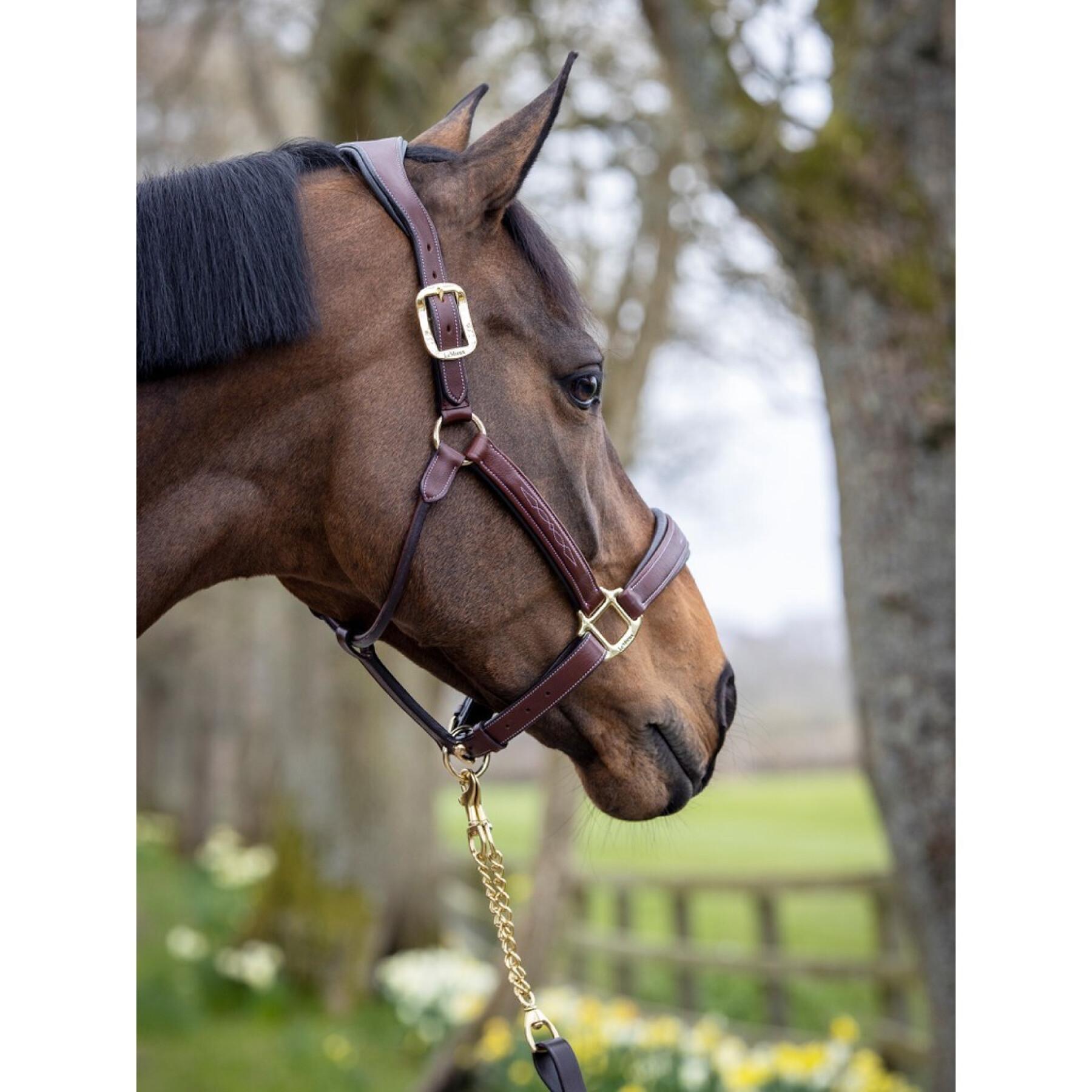 Leather halter for horse LeMieux Stitched Comfort