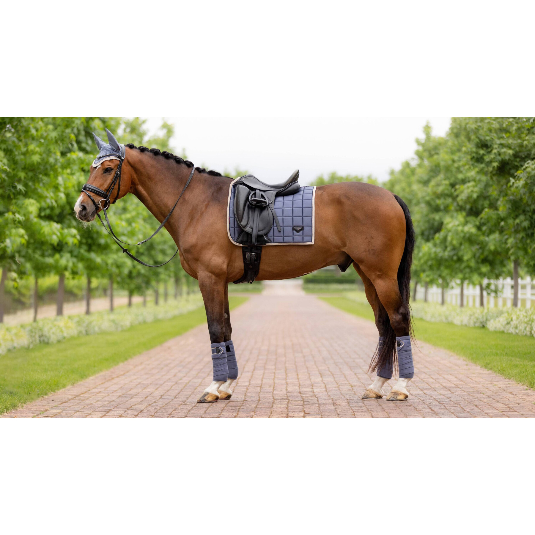 Dressage mat for horses LeMieux Loire Classic