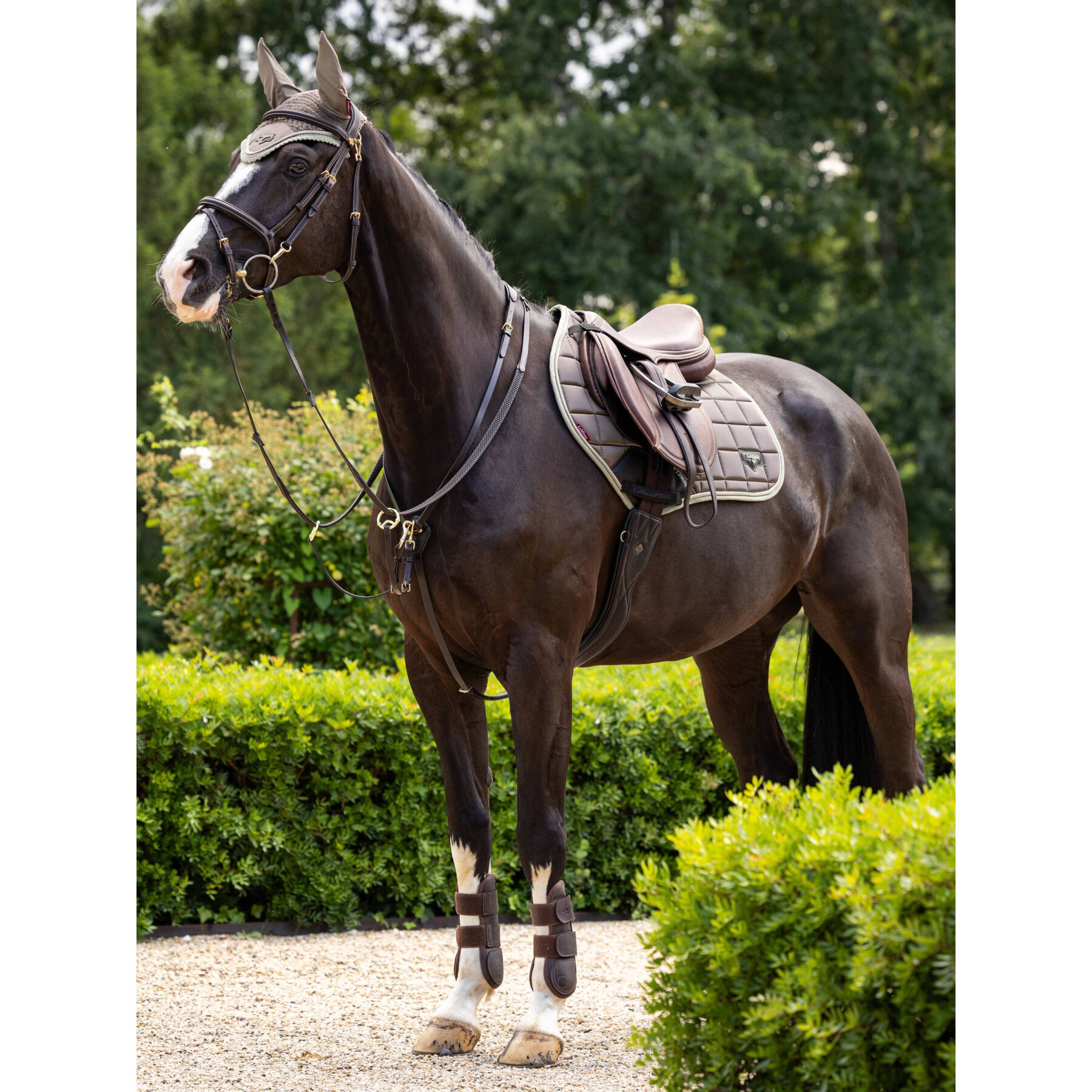 Saddle pad for horses LeMieux Loire Classic Close Contact