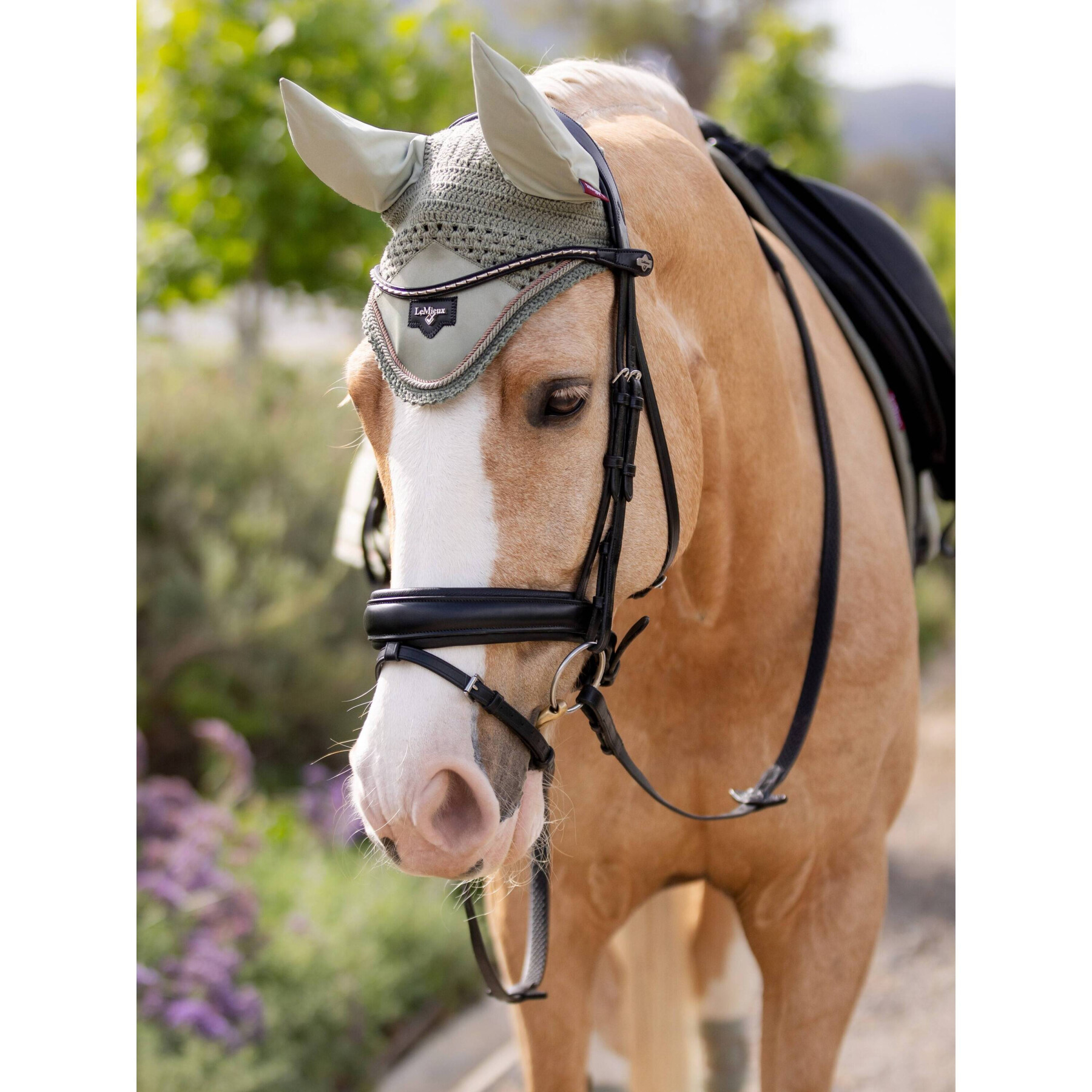 Horse hat LeMieux Loire