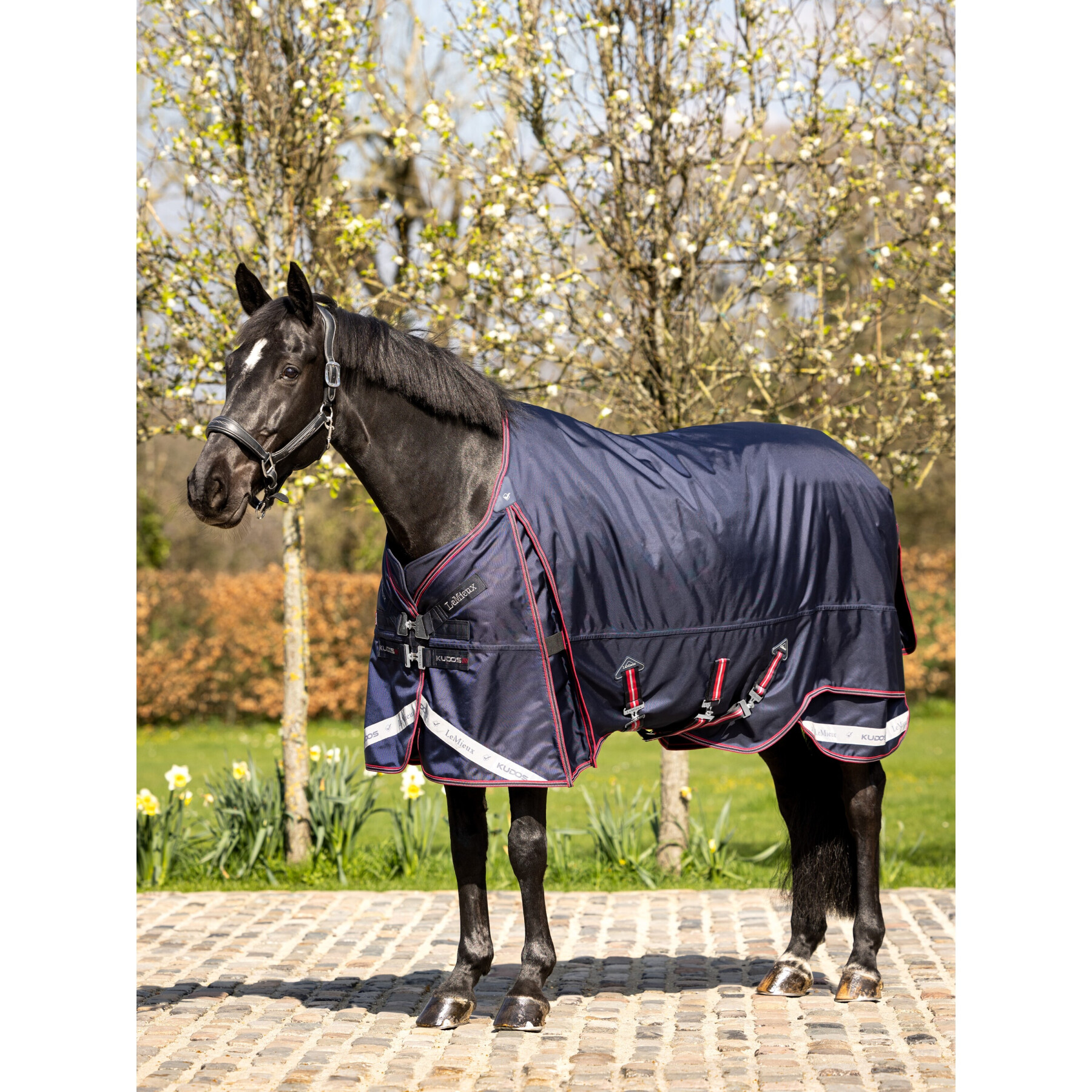 Outdoor horse blanket LeMieux Kudos Thermo Layer 100g