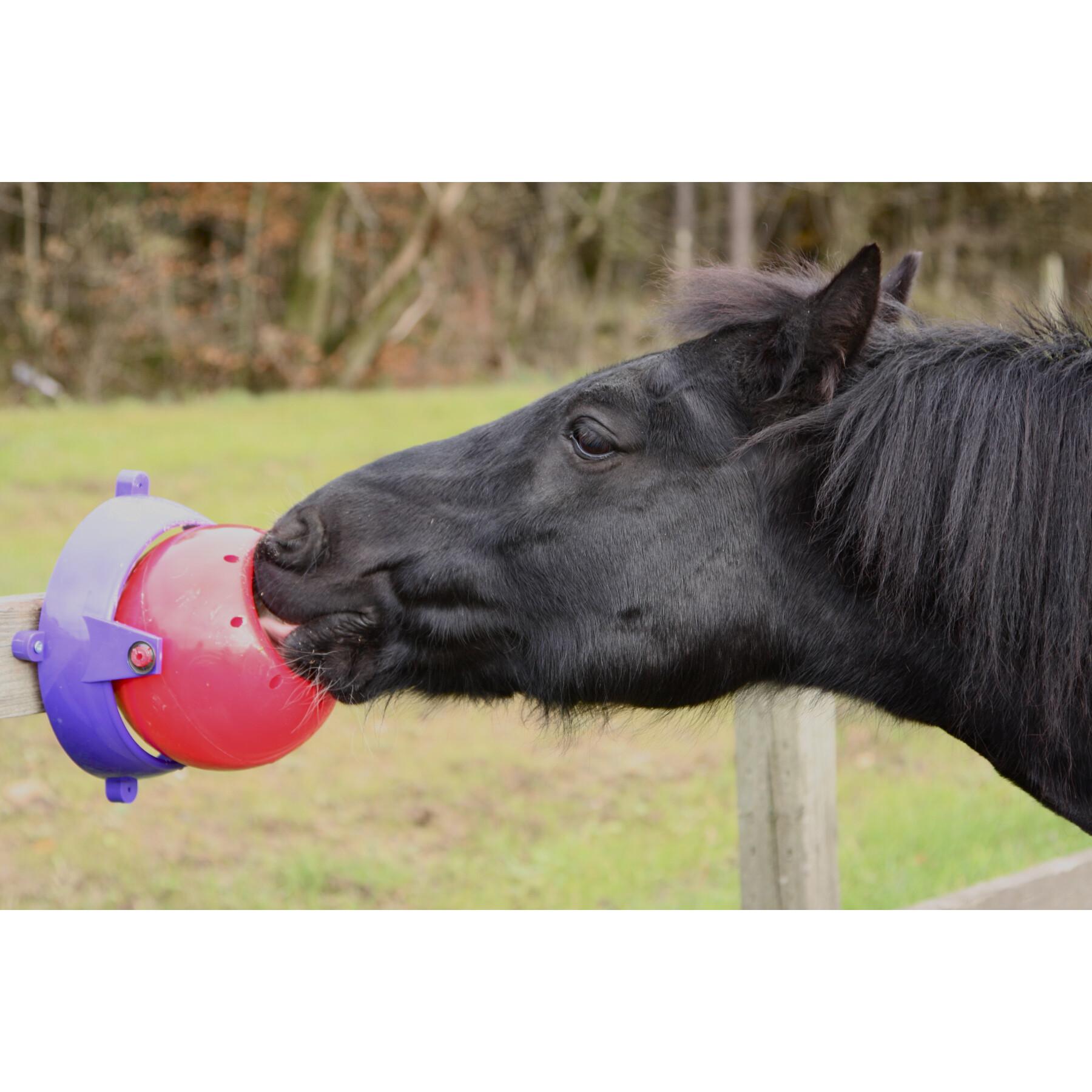 Horse feeder Likit Tongue Twister