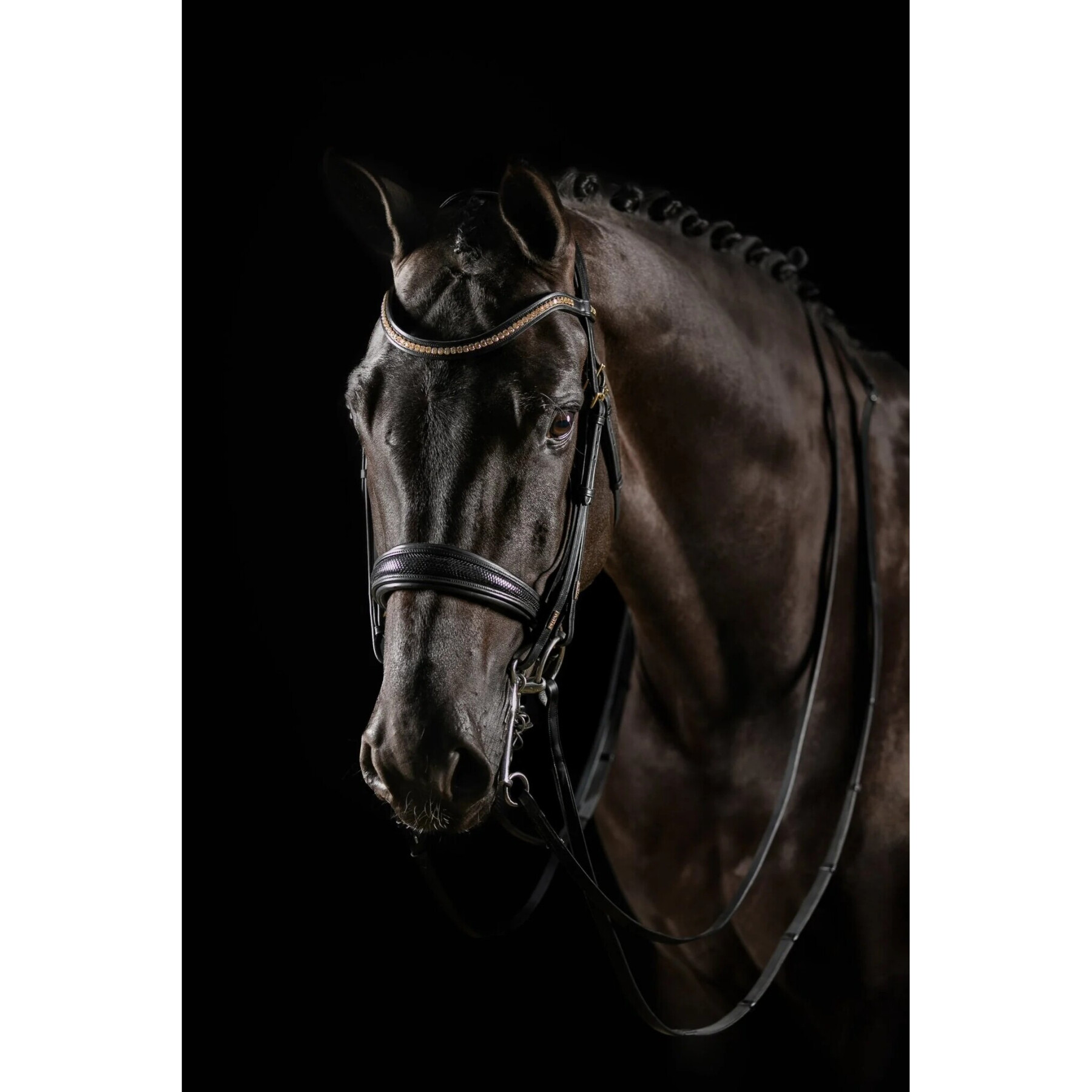 Double bridle Mrs. Ros Deluxe Knight Power