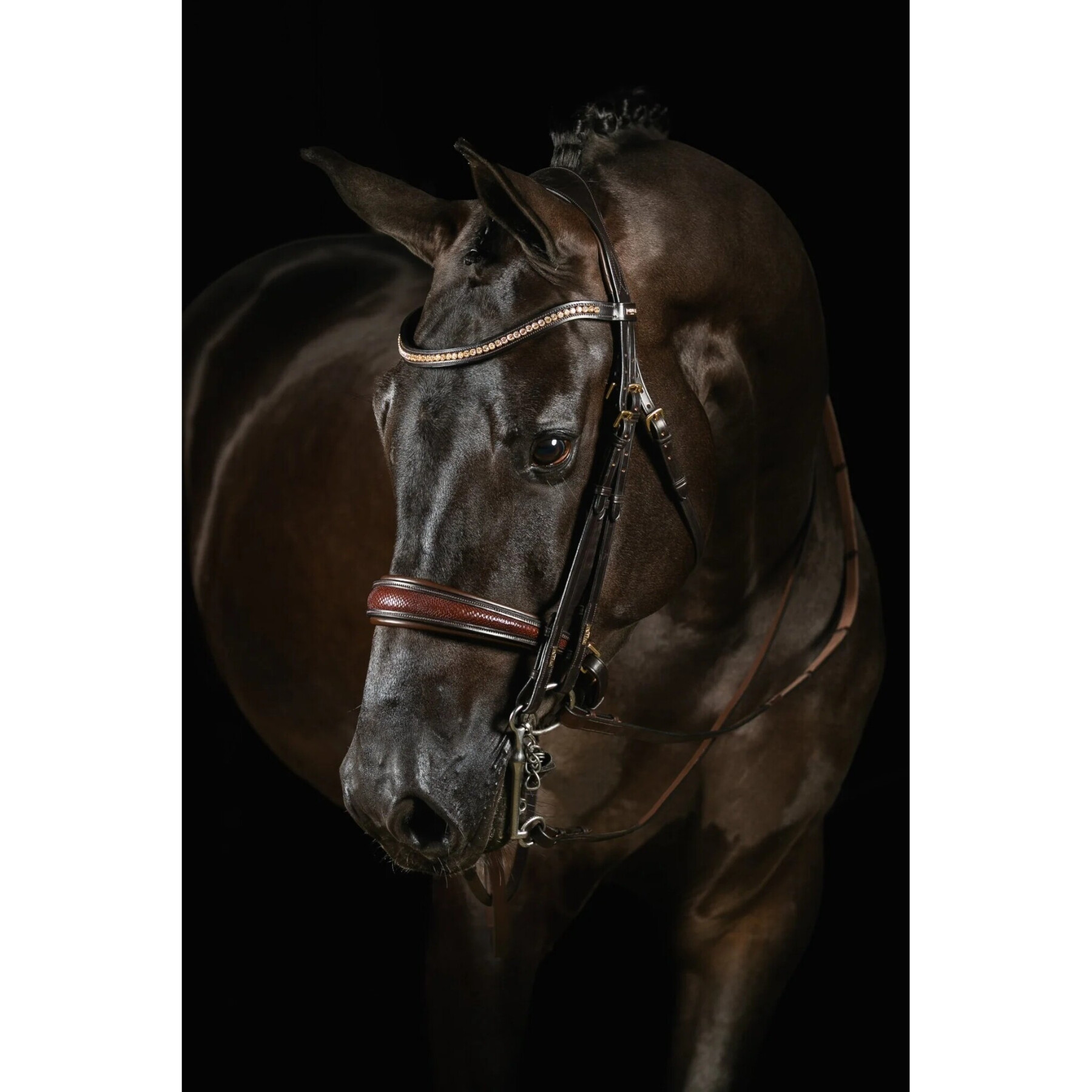 Double bridle Mrs. Ros Deluxe Knight Power